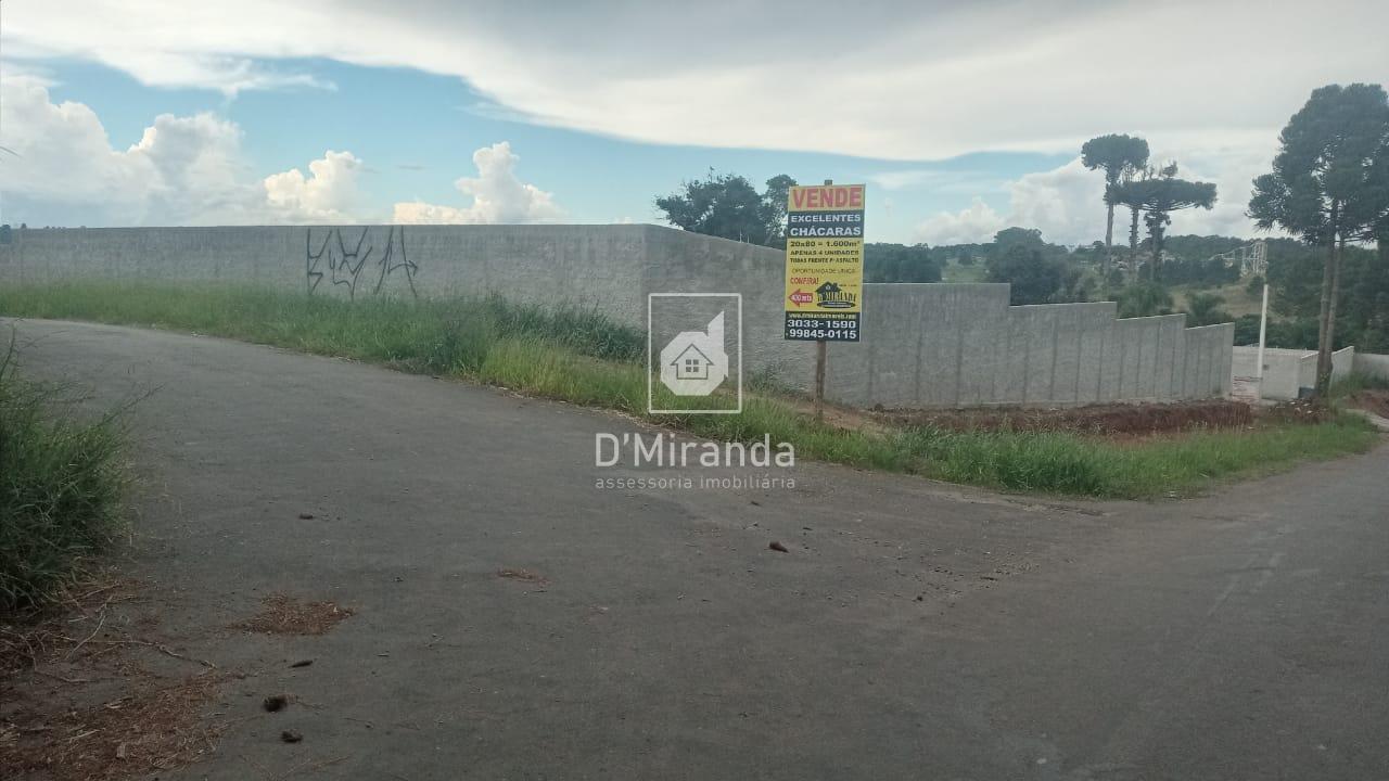 Venda FAZENDA/CHÁCARA PINHAIS PR Brasil