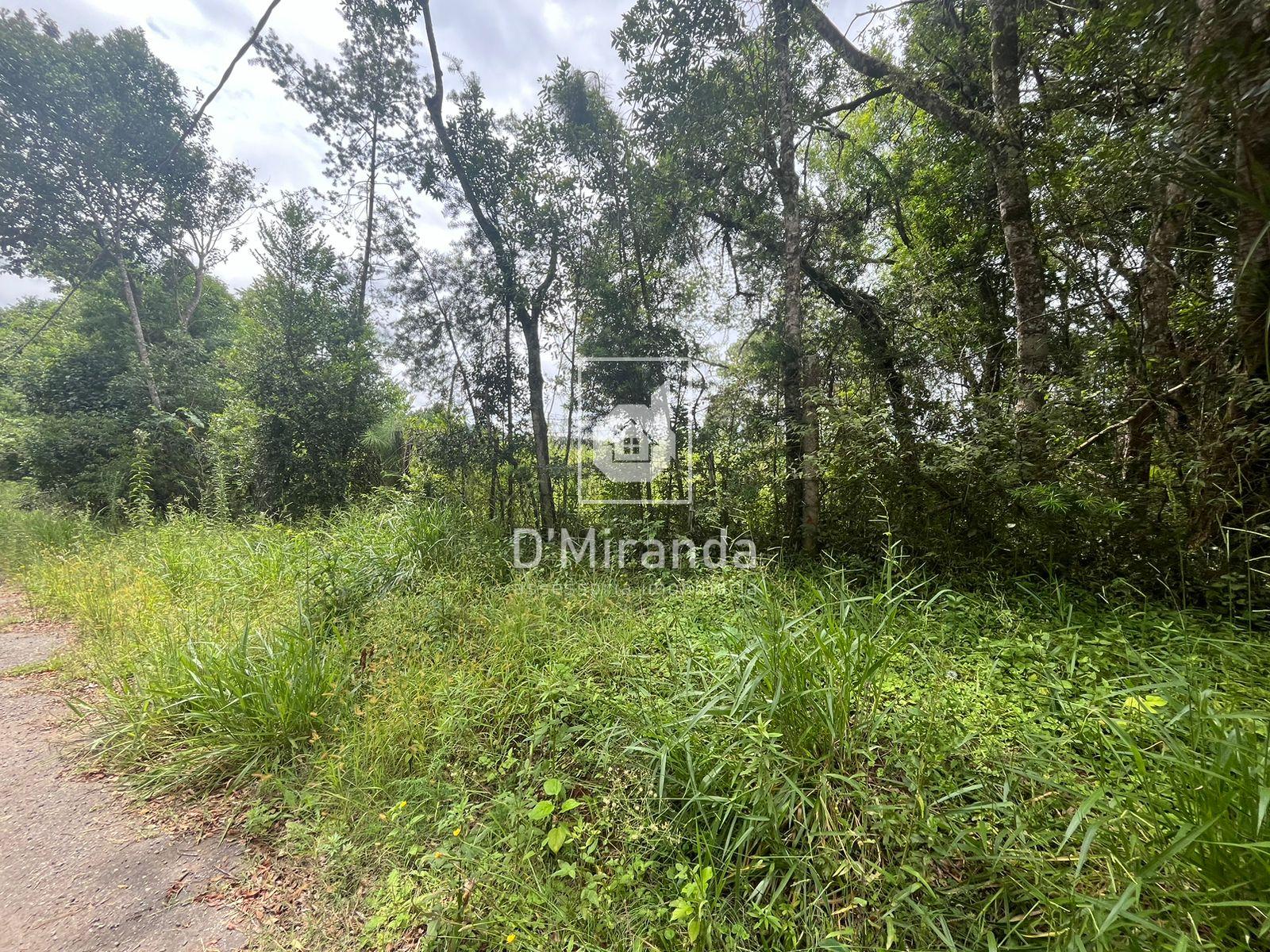 Venda ÁREA PINHAIS PR Brasil