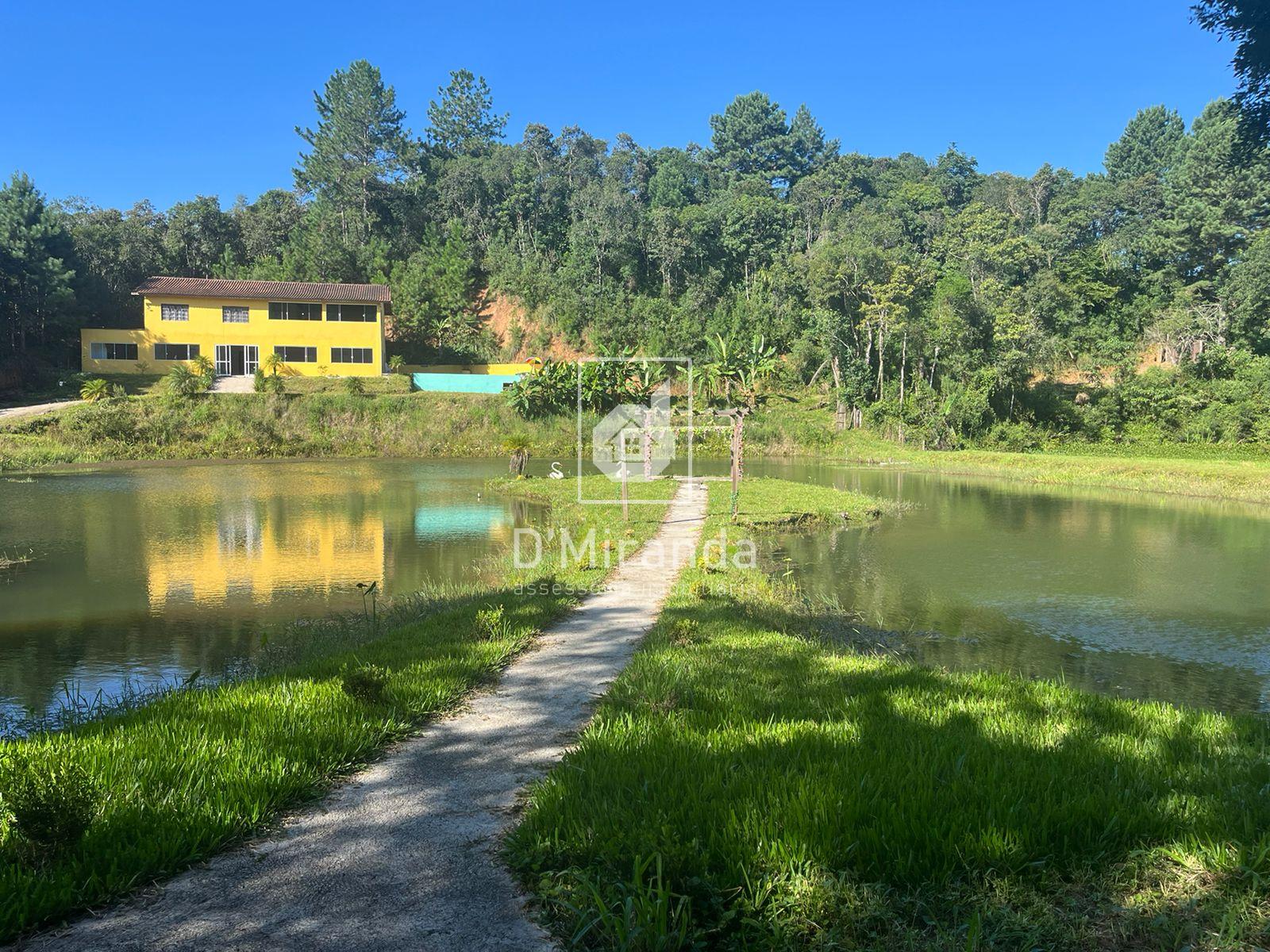 Venda FAZENDA CHÁCARA QUATRO BARRAS PR Brasil
