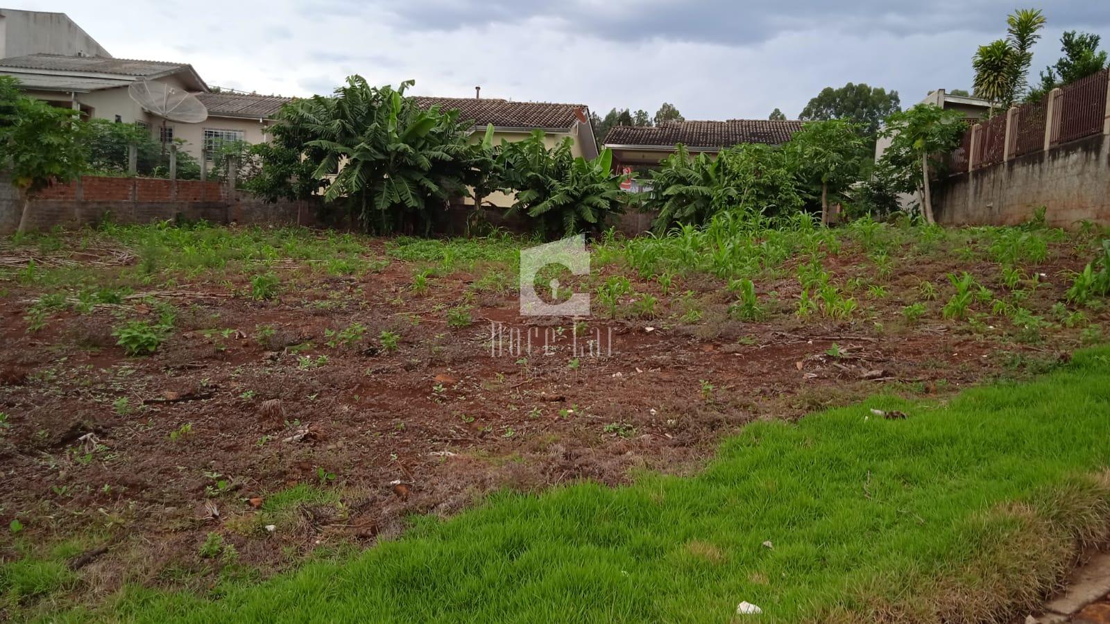 lote para venda