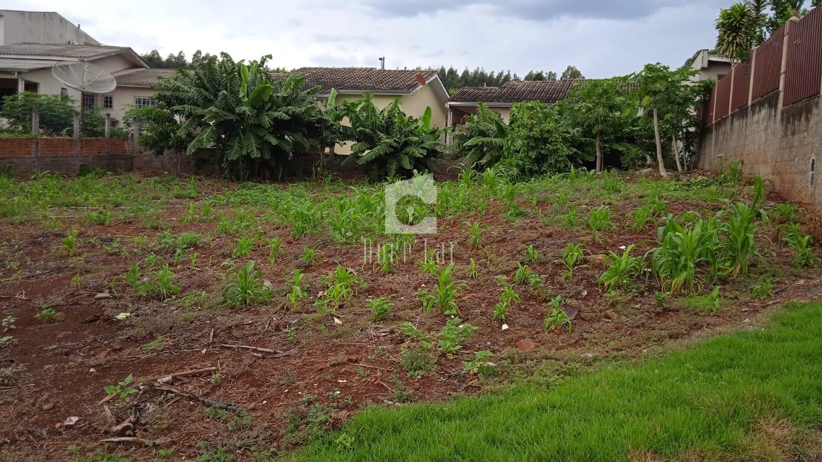 lote para venda