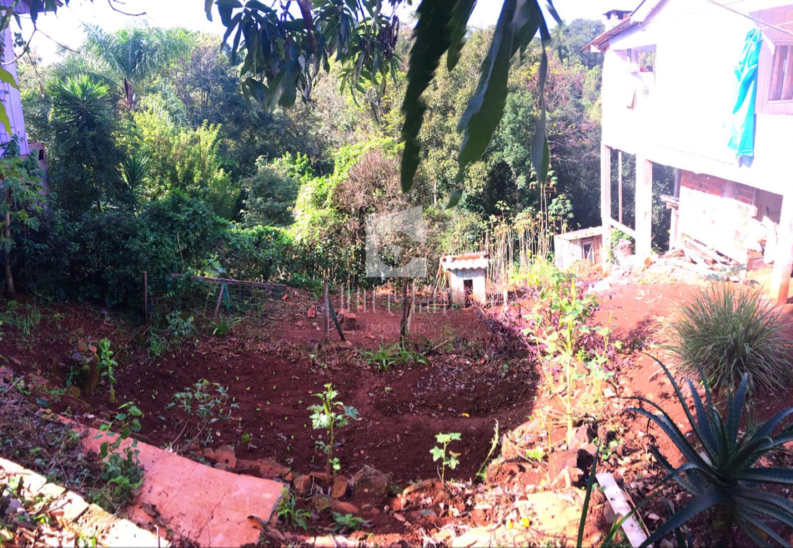lote de venda