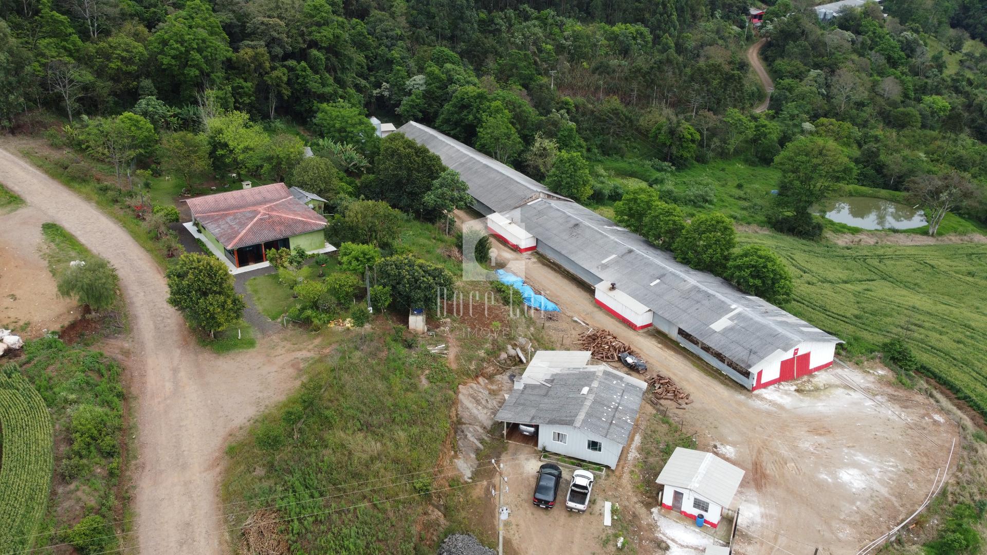 Rural à venda, comunidade de Alto Pinhal, DOIS VIZINHOS - PR
