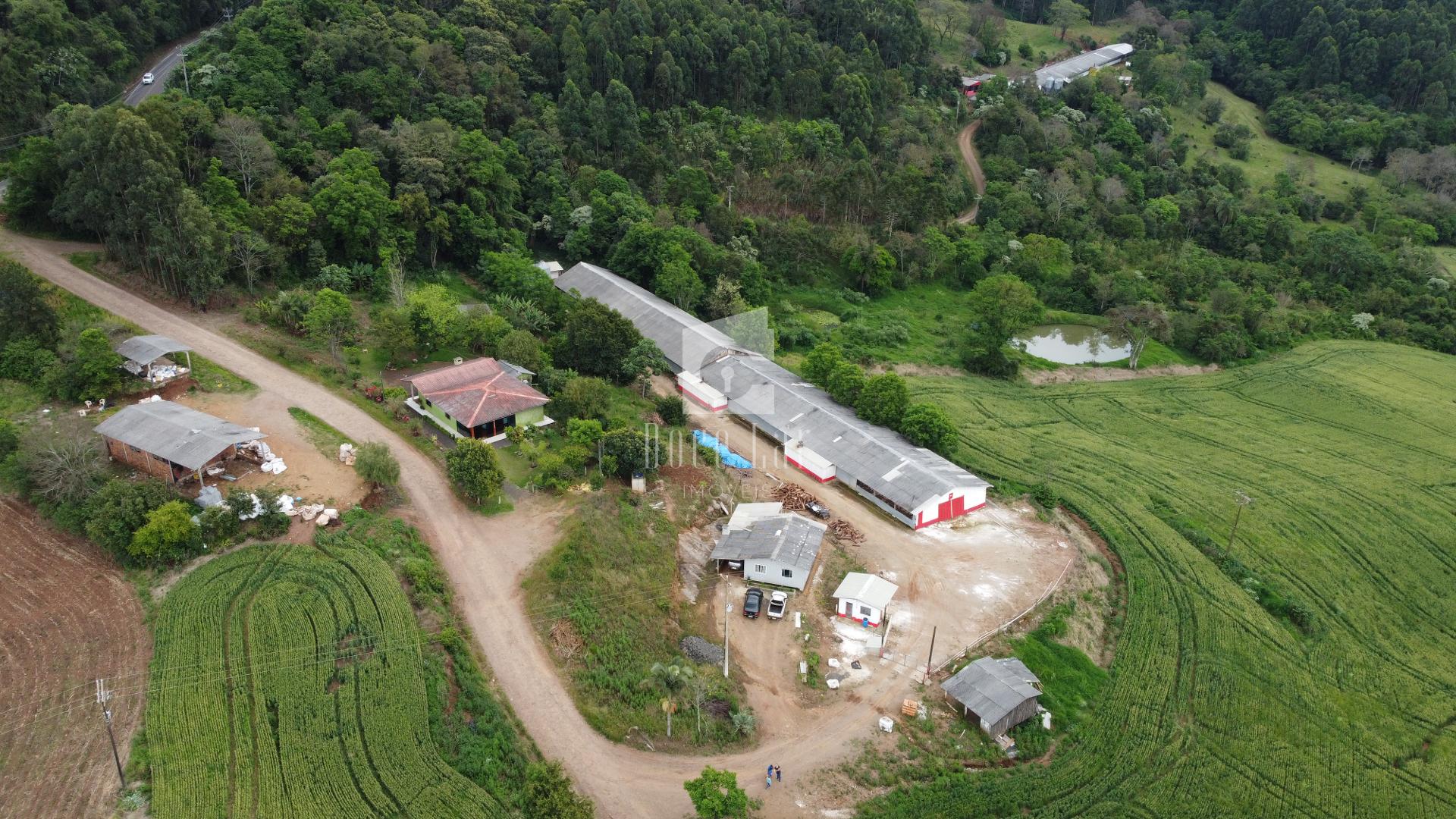 Rural à venda, comunidade de Alto Pinhal, DOIS VIZINHOS - PR