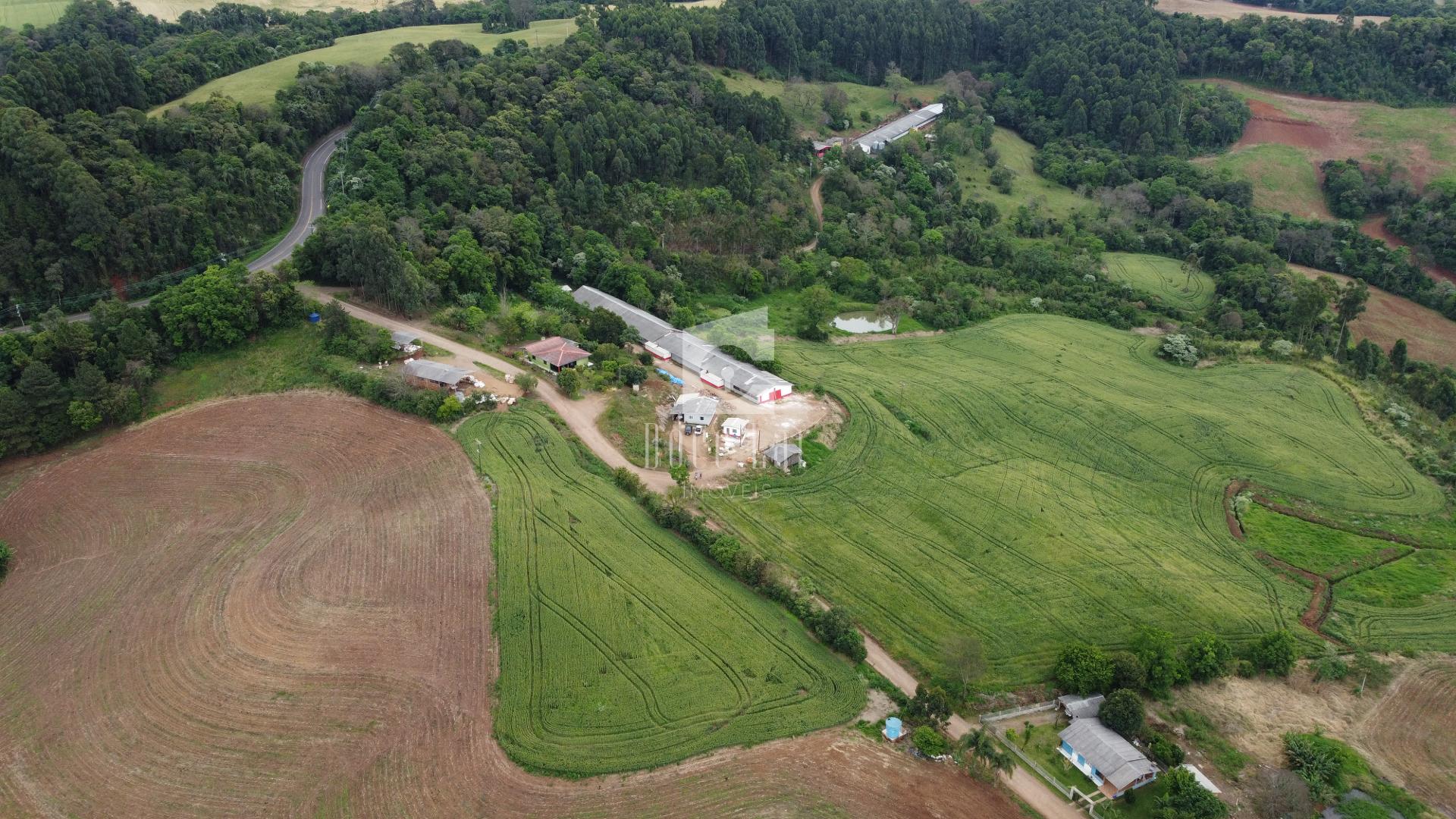 Rural à venda, comunidade de Alto Pinhal, DOIS VIZINHOS - PR
