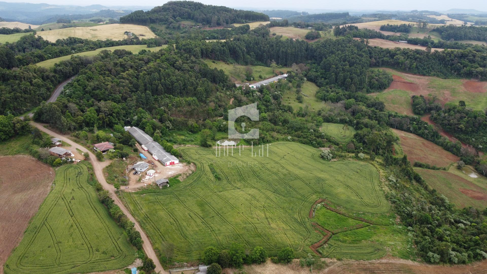 Rural à venda, comunidade de Alto Pinhal, DOIS VIZINHOS - PR