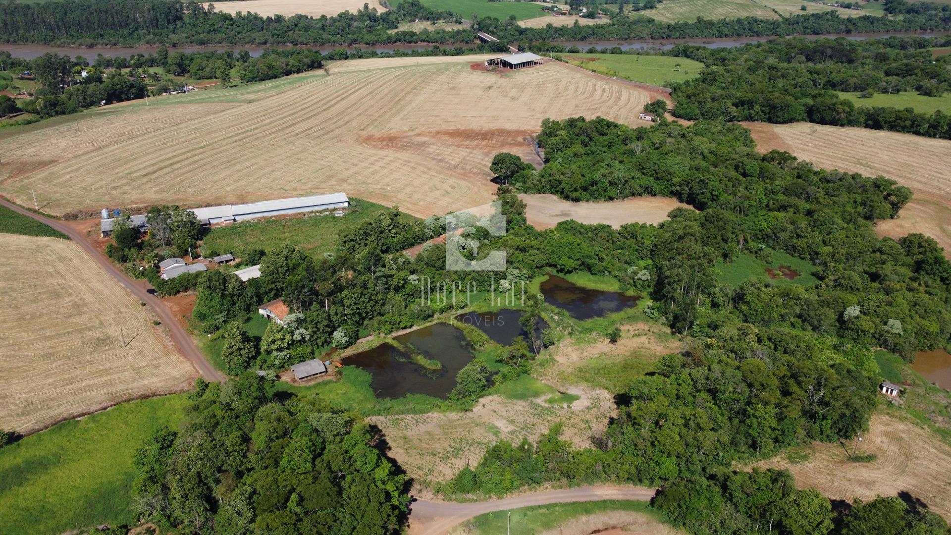 Área Rural à venda, Linha Boa Vista do Chopin, DOIS VIZINHOS - PR