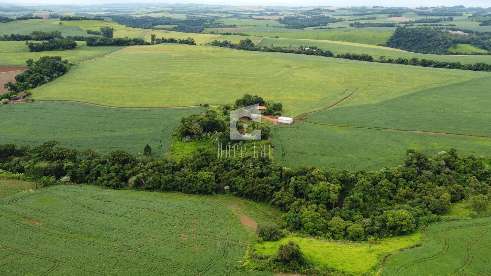 ÁREA RURAL DE 57 ALQUEIRES EM SALTO DO LONTRA - PR