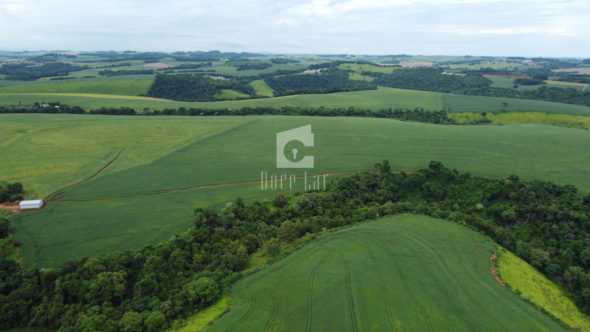 ÁREA RURAL DE 57 ALQUEIRES EM SALTO DO LONTRA - PR