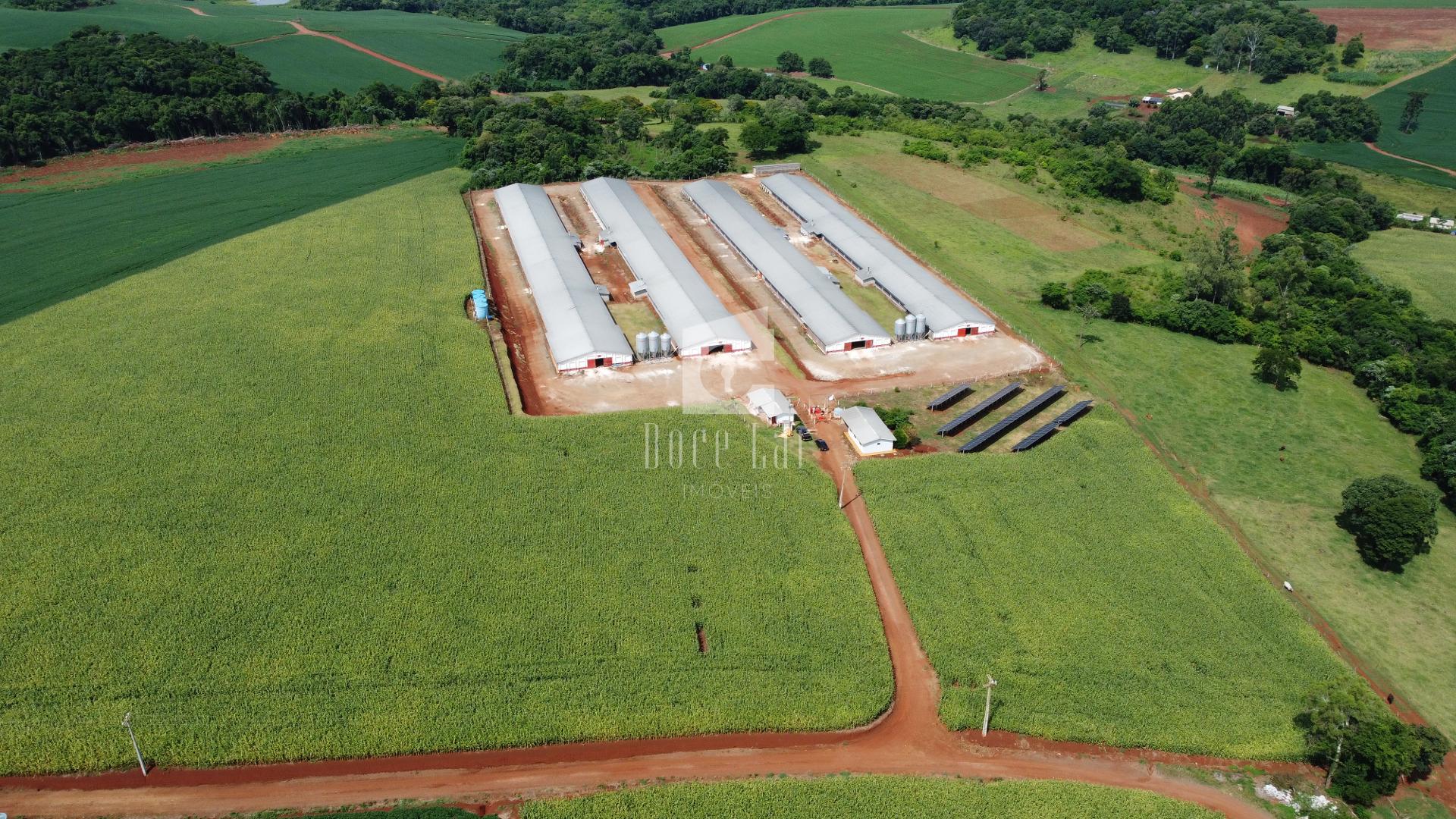 Área rural com 4 aviários para venda em BOA ESPERANCA DO IGUAC...