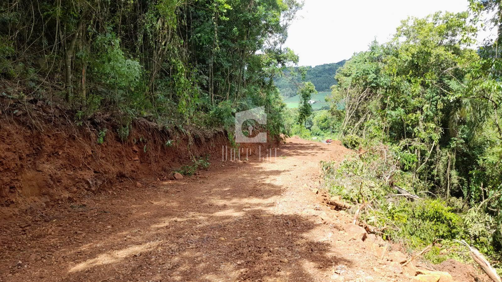 Lote COMERCIAL de 29.000 m² à venda em FRANCISCO BELTRAO - PR