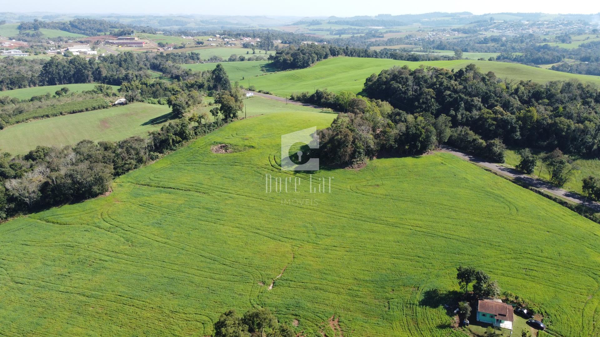 Área rural à venda a 1,4 km da Piracanjuba, SAO JORGE D OESTE ...