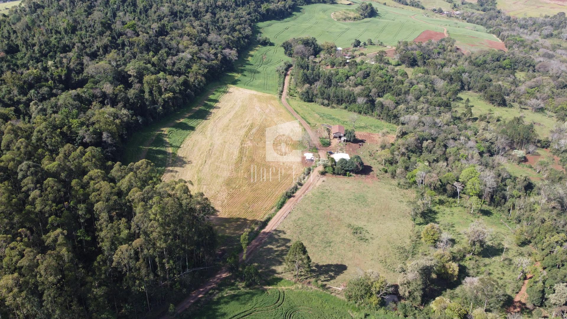 Área rural à venda 90.750 m  na Linha Gaúcha, em SAO JORGE D O...