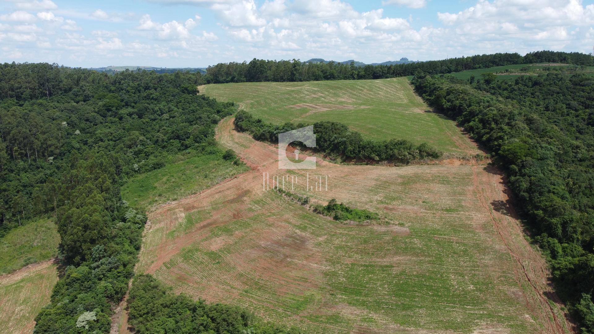 ÁREA RURAL NA COMUNIDADE RIO GAVIÃO, NOVA ESPERANCA DO SUDOEST...