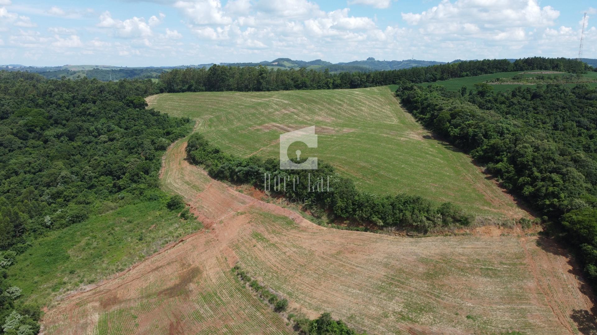 ÁREA RURAL NA COMUNIDADE RIO GAVIÃO, NOVA ESPERANCA DO SUDOEST...