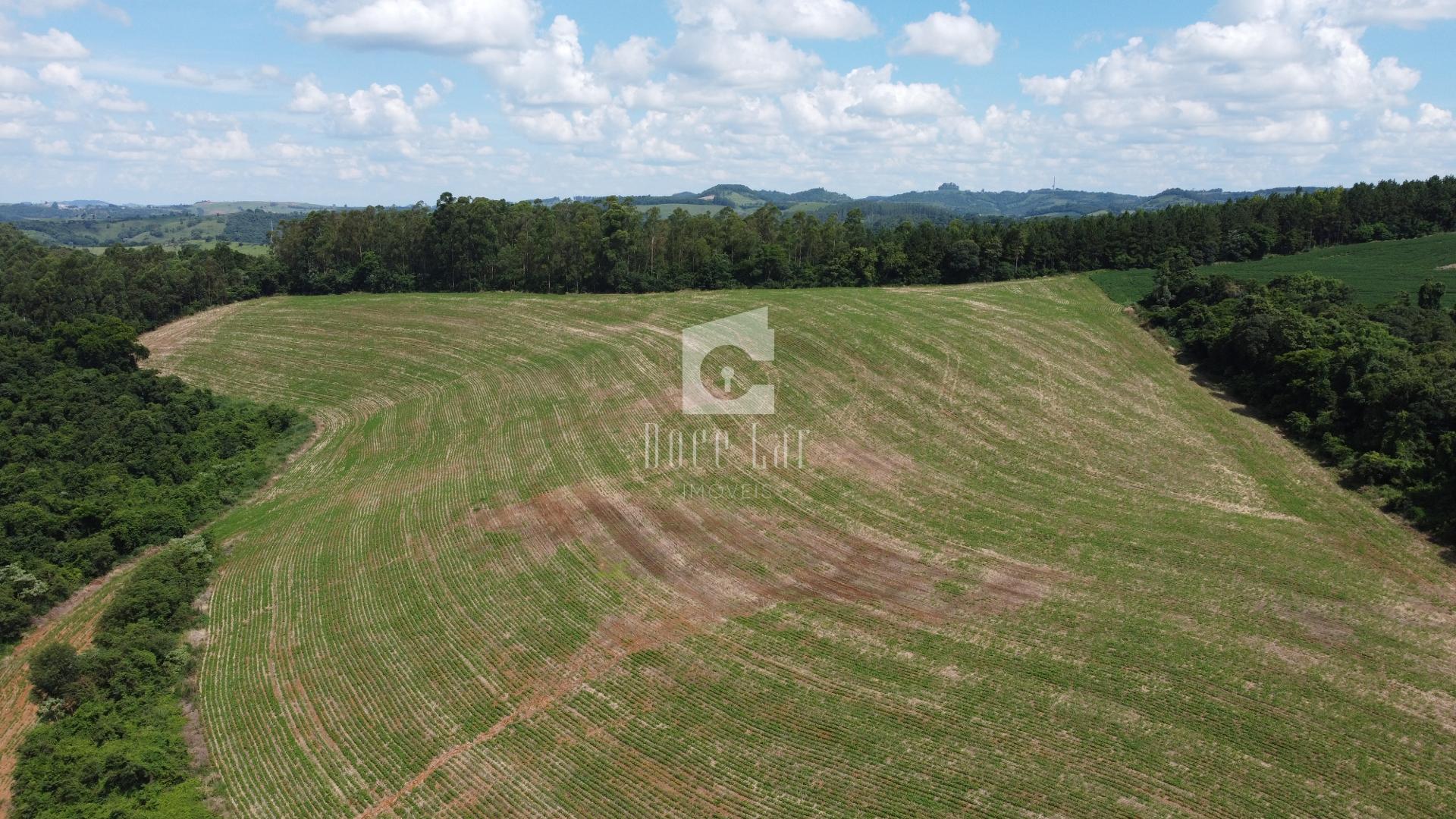 ÁREA RURAL NA COMUNIDADE RIO GAVIÃO, NOVA ESPERANCA DO SUDOEST...