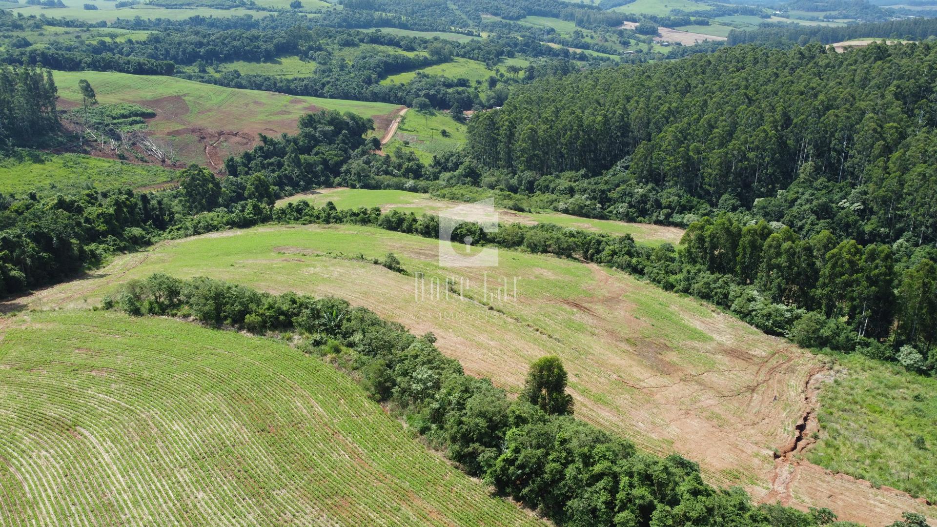 ÁREA RURAL NA COMUNIDADE RIO GAVIÃO, NOVA ESPERANCA DO SUDOEST...