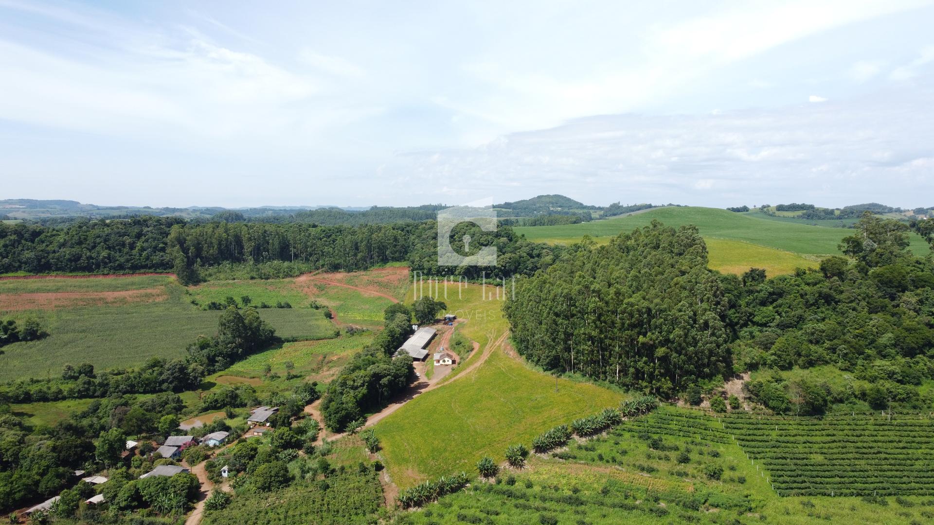 ÁREA RURAL PARA VENDA NA COMUNIDADE SÃO PEDRO DO SUL, DOIS VIZ...