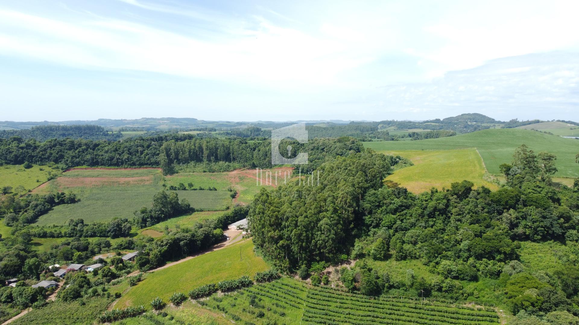 ÁREA RURAL PARA VENDA NA COMUNIDADE SÃO PEDRO DO SUL, DOIS VIZ...