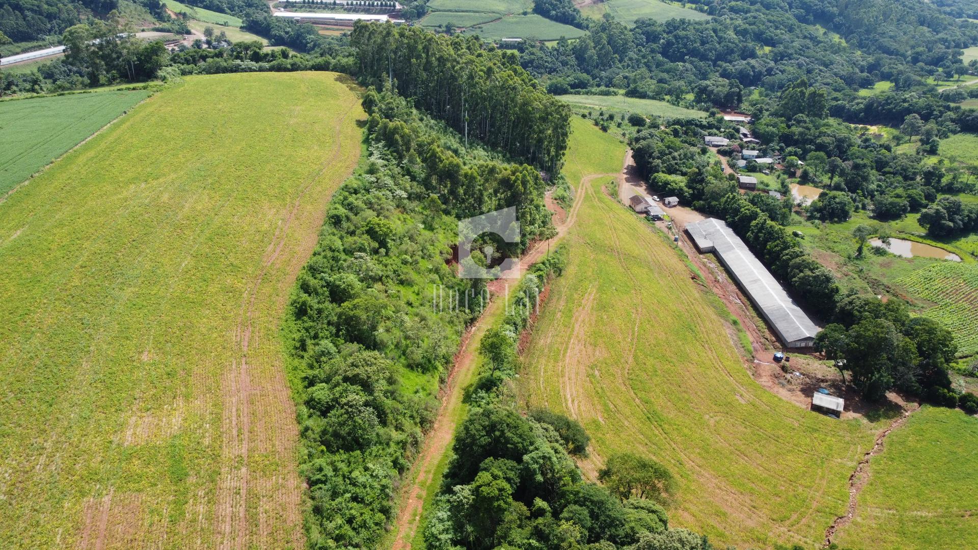 ÁREA RURAL PARA VENDA NA COMUNIDADE SÃO PEDRO DO SUL, DOIS VIZ...