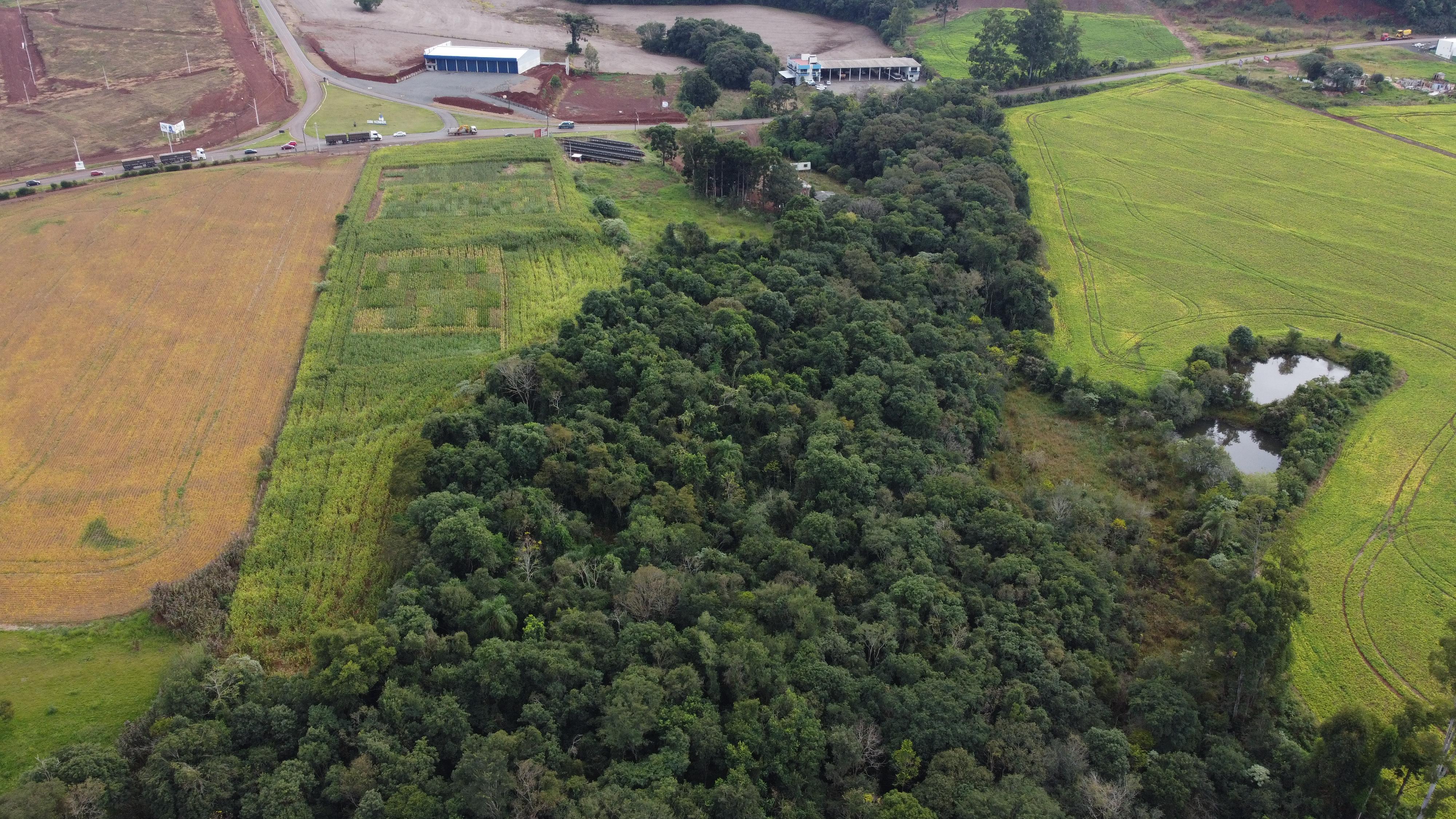 Rural à venda, 42.800m2,  Colônia Missões, DOIS VIZINHOS - PR