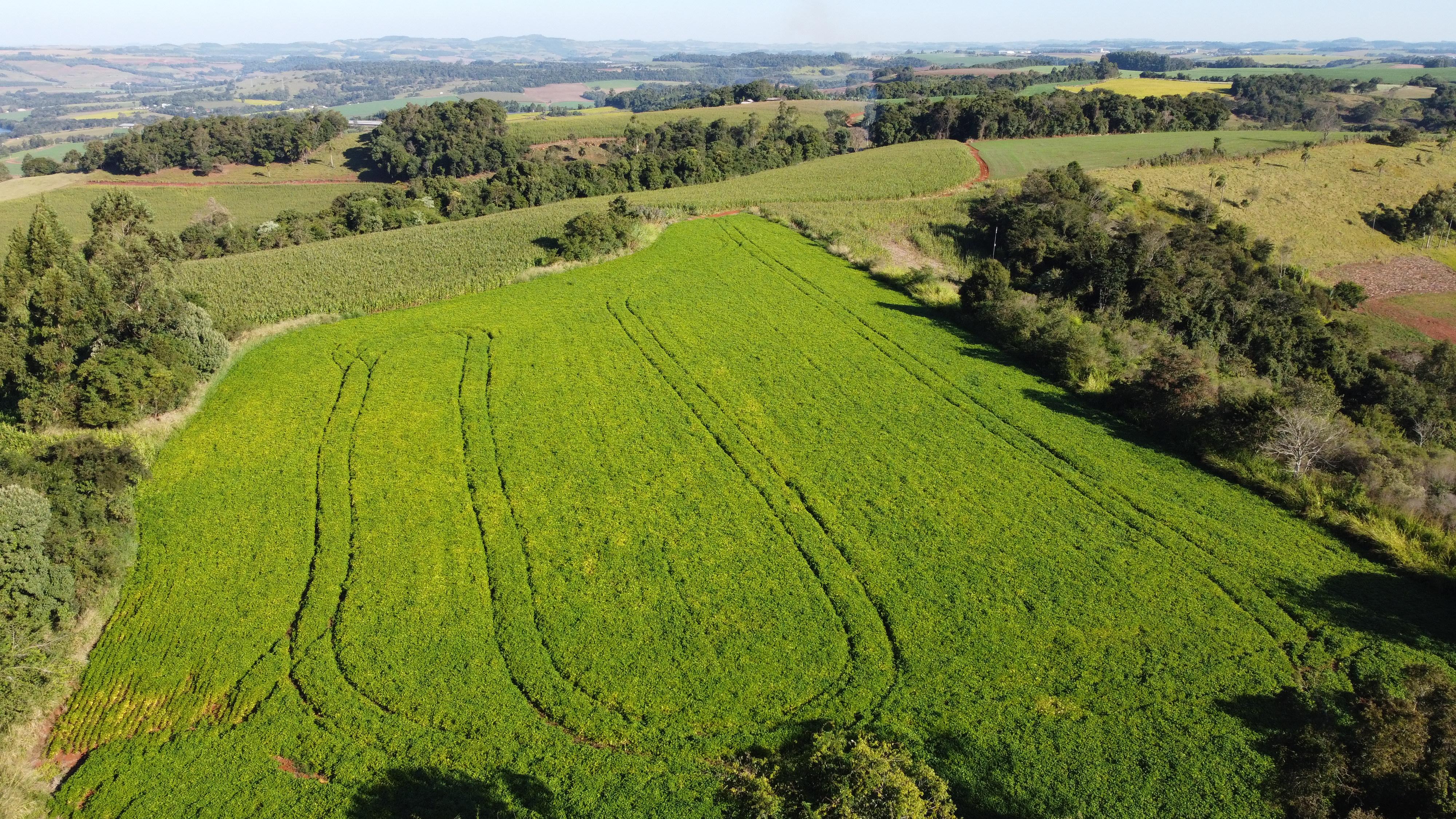 Rural à venda, Linha Conrado, DOIS VIZINHOS - PR