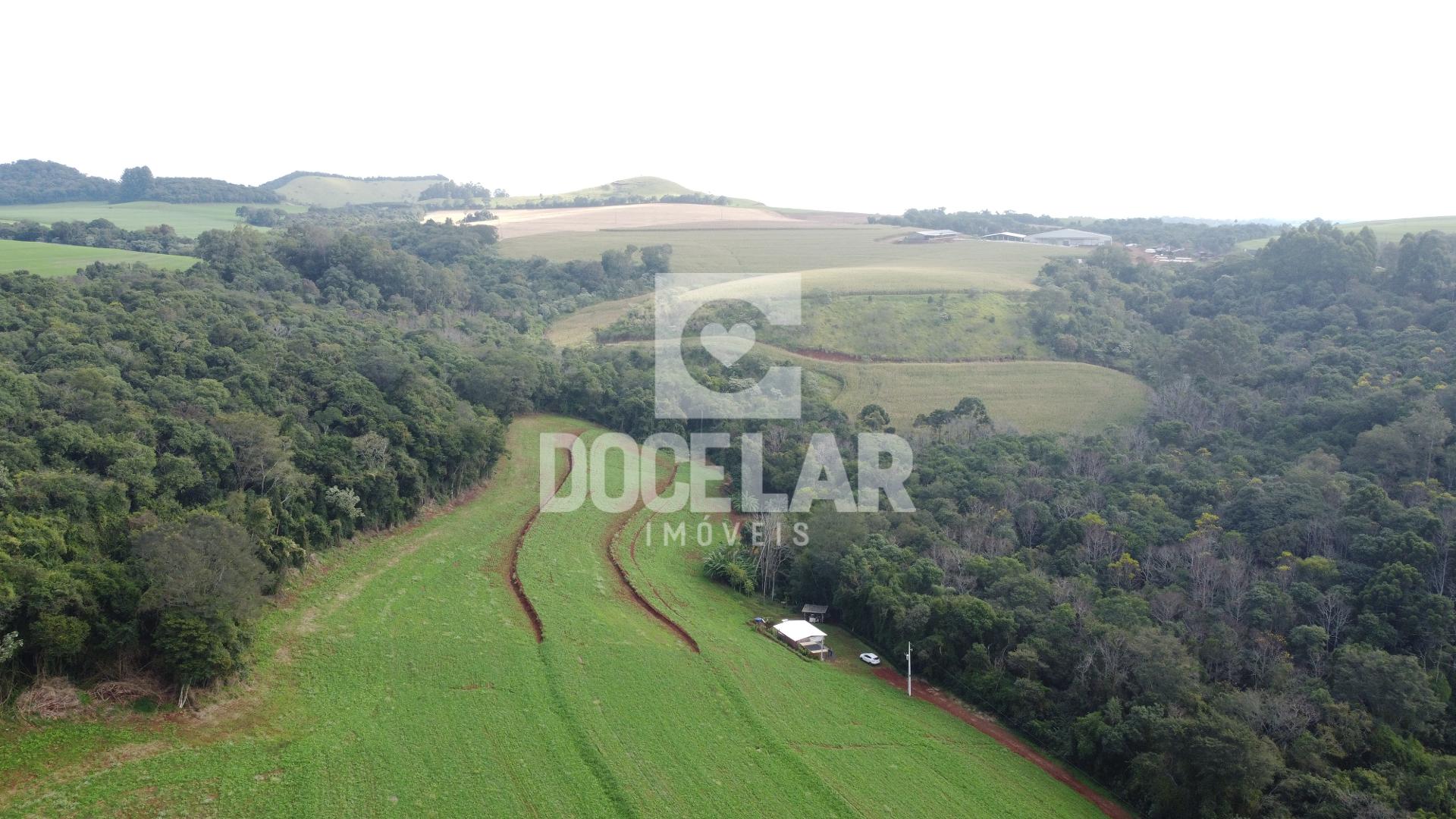 CHÁCARA DE 30.000 M  NA LINHA MAZURANA, DOIS VIZINHOS - PR