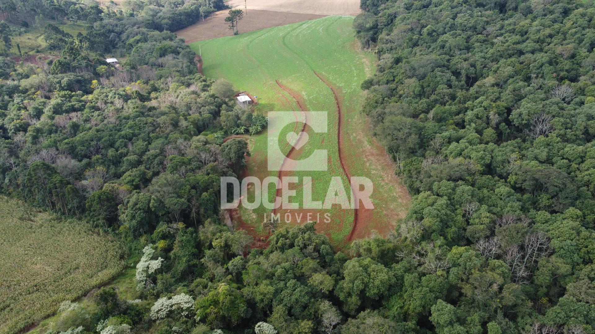 CHÁCARA DE 30.000 M  NA LINHA MAZURANA, DOIS VIZINHOS - PR