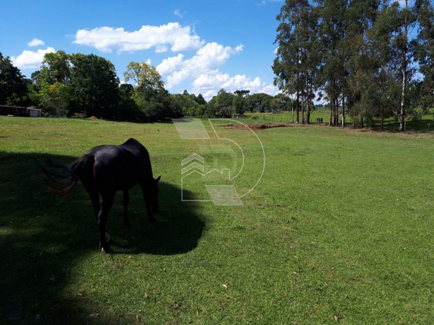ÁREA RURAL NO PULADOR