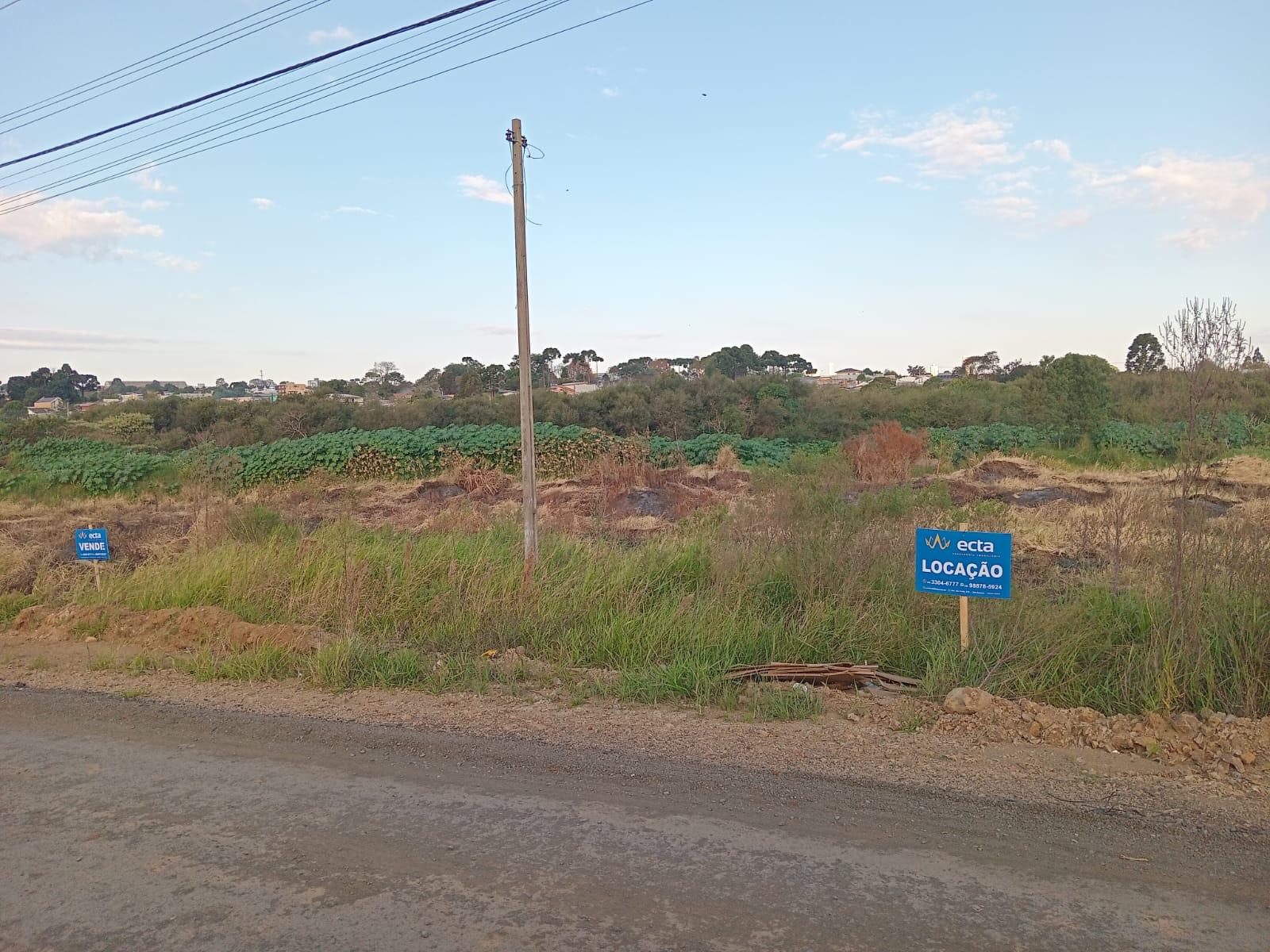 Terreno ? venda, Vila Carli, GUARAPUAVA - PR