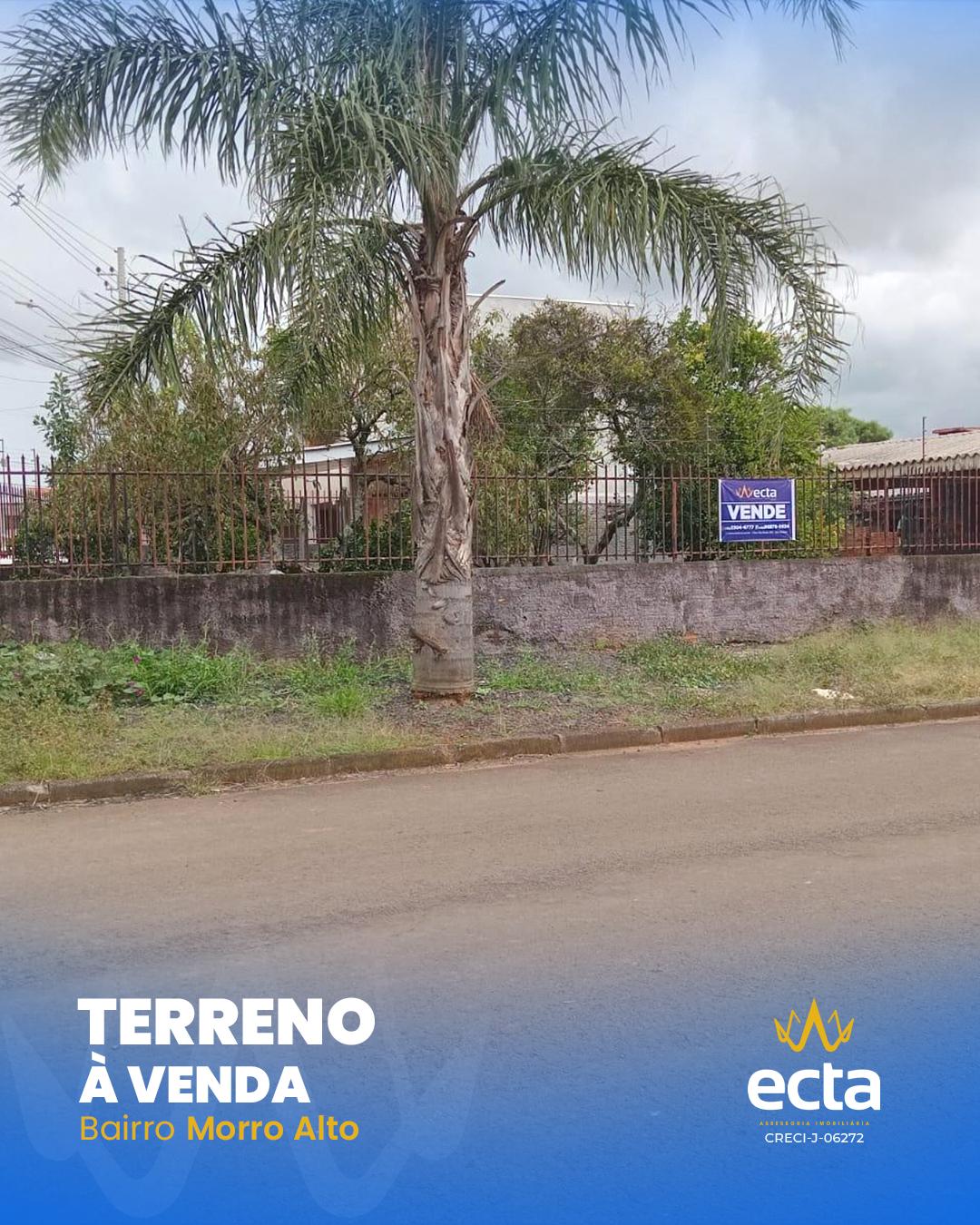 Terreno à venda, Morro Alto, GUARAPUAVA - PR