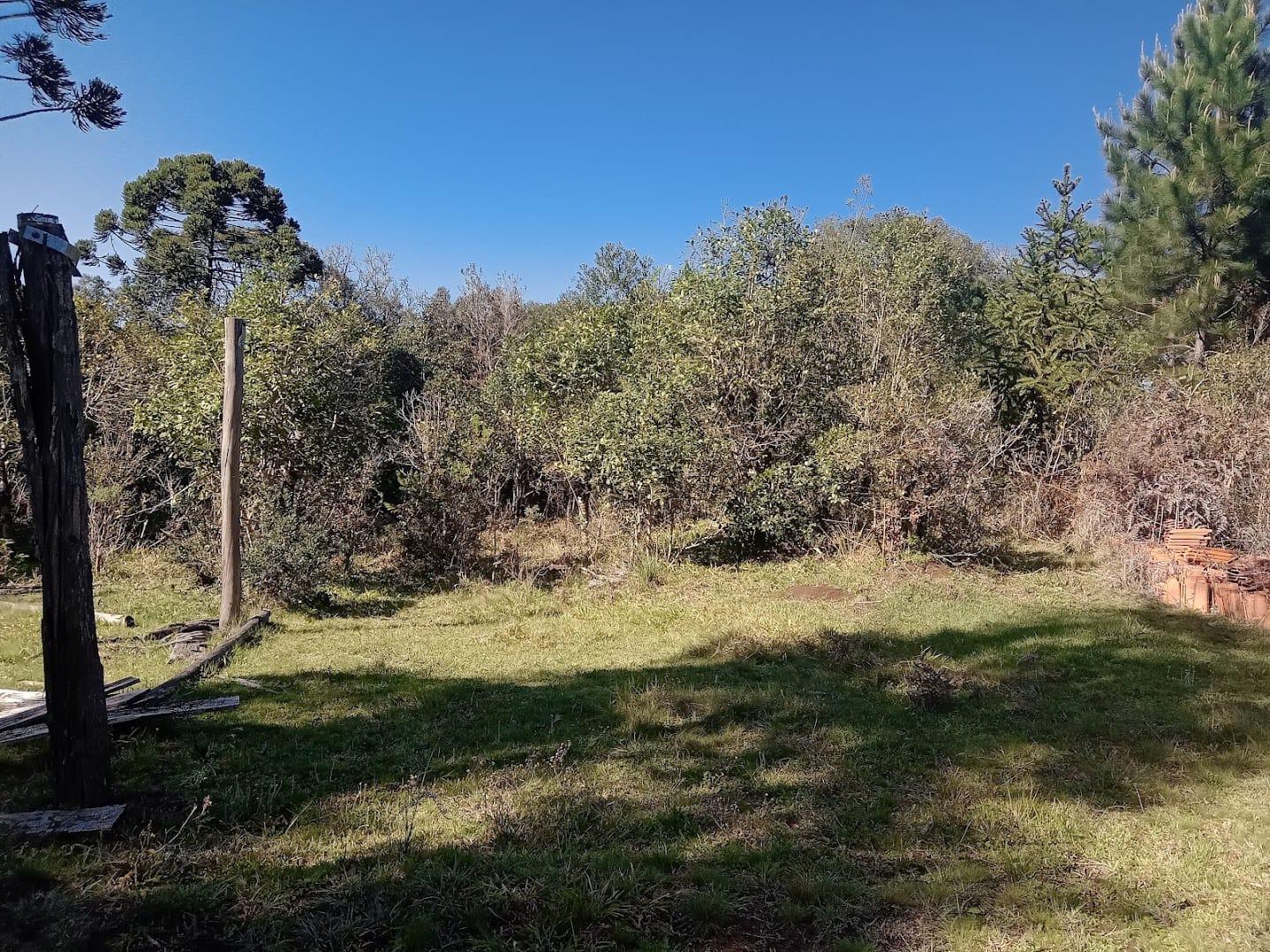 Chácara  à venda na beira do asfalto, Palmeirinha, GUARAPUAVA ...