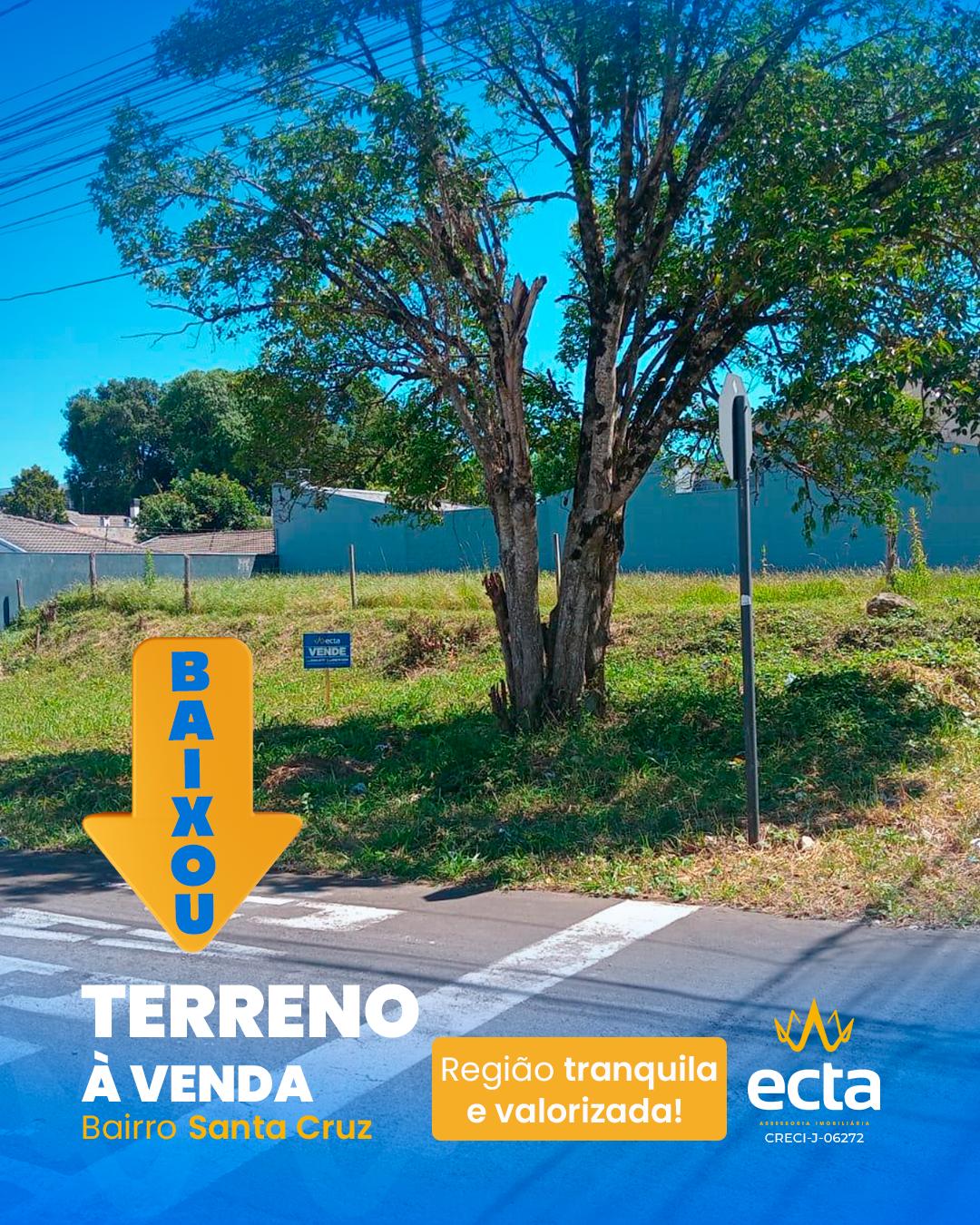 Terreno à venda, Santa Cruz, GUARAPUAVA - PR