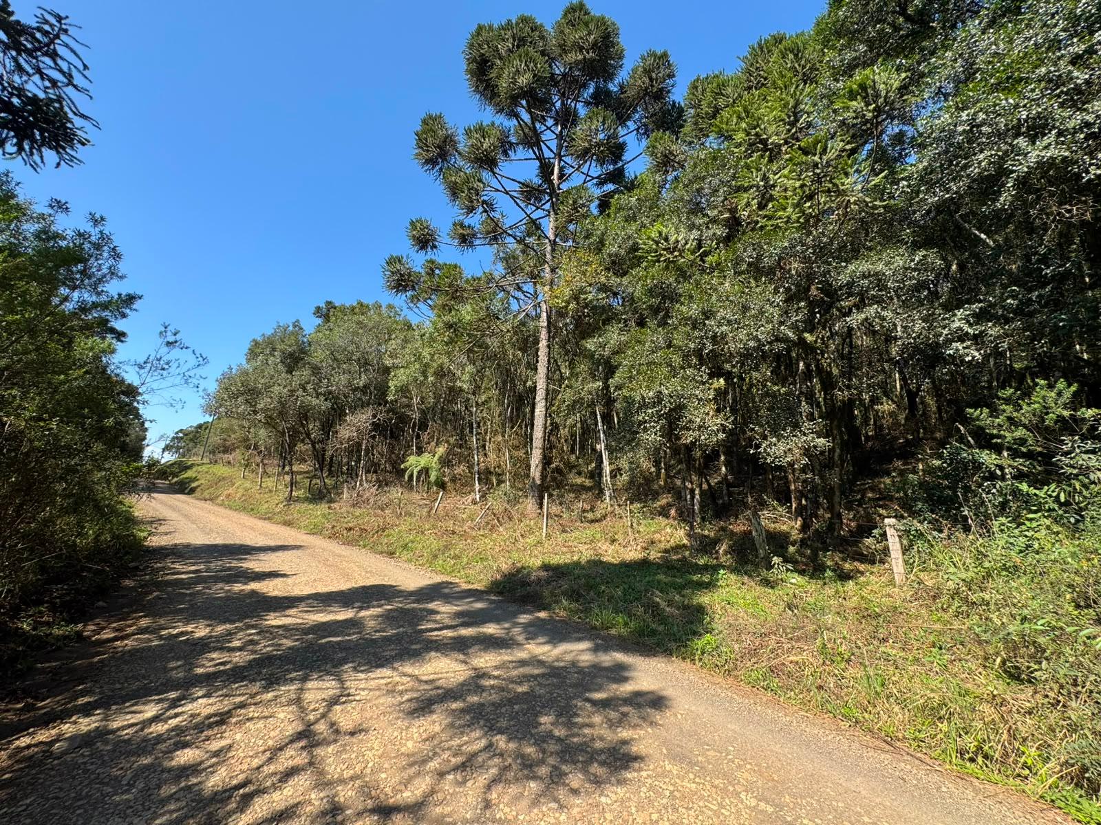 ÁREA RURAL À VENDA | GUARAPUAVA PR  Excelente oportunidade par...