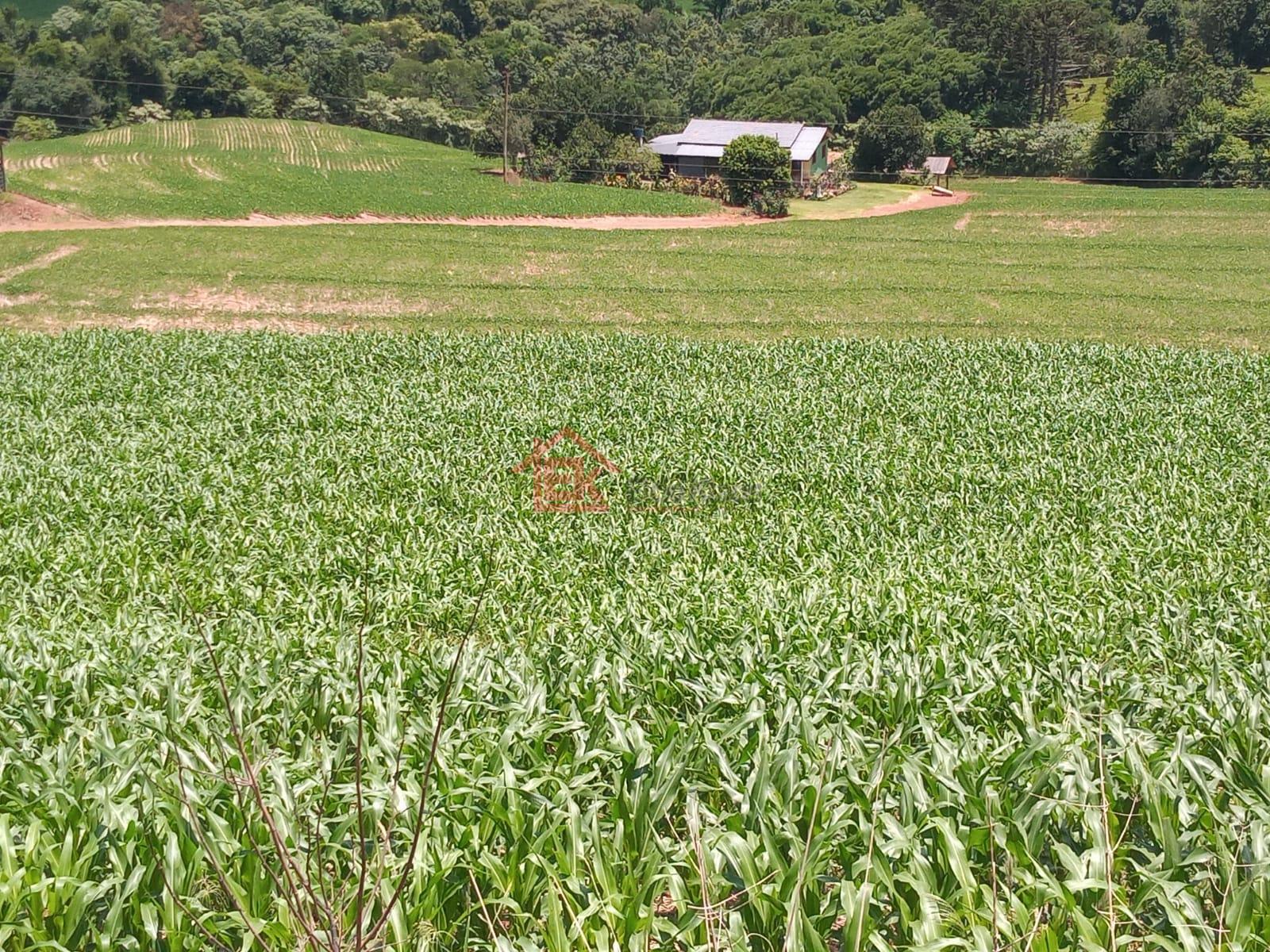 Rural à venda, INTERIOR, SAO LOURENCO DO OESTE - SC