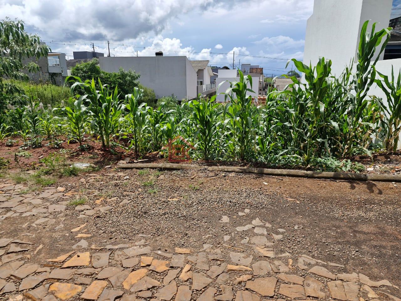 Terreno à venda, OTIMO LOCAL, VITORINO - PR