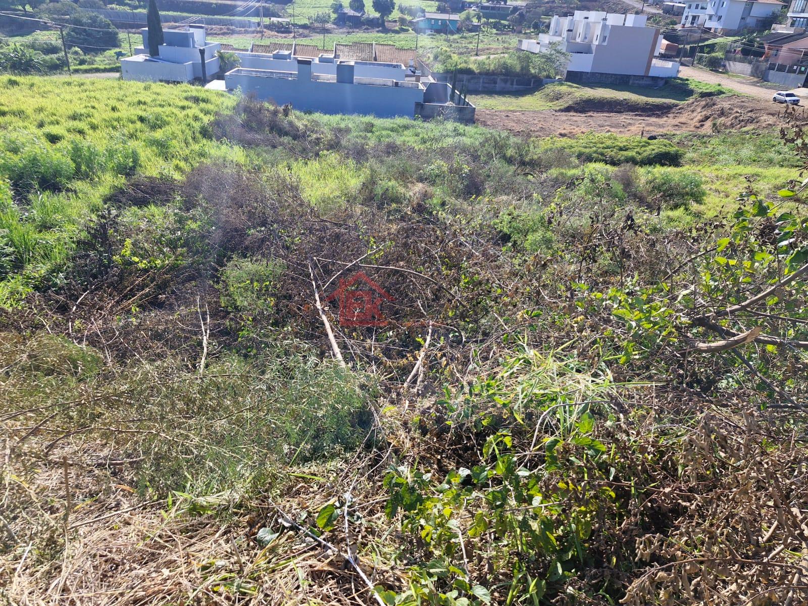Elcio Klaus Negcios Imobilirios em So Loureno do Oeste SC