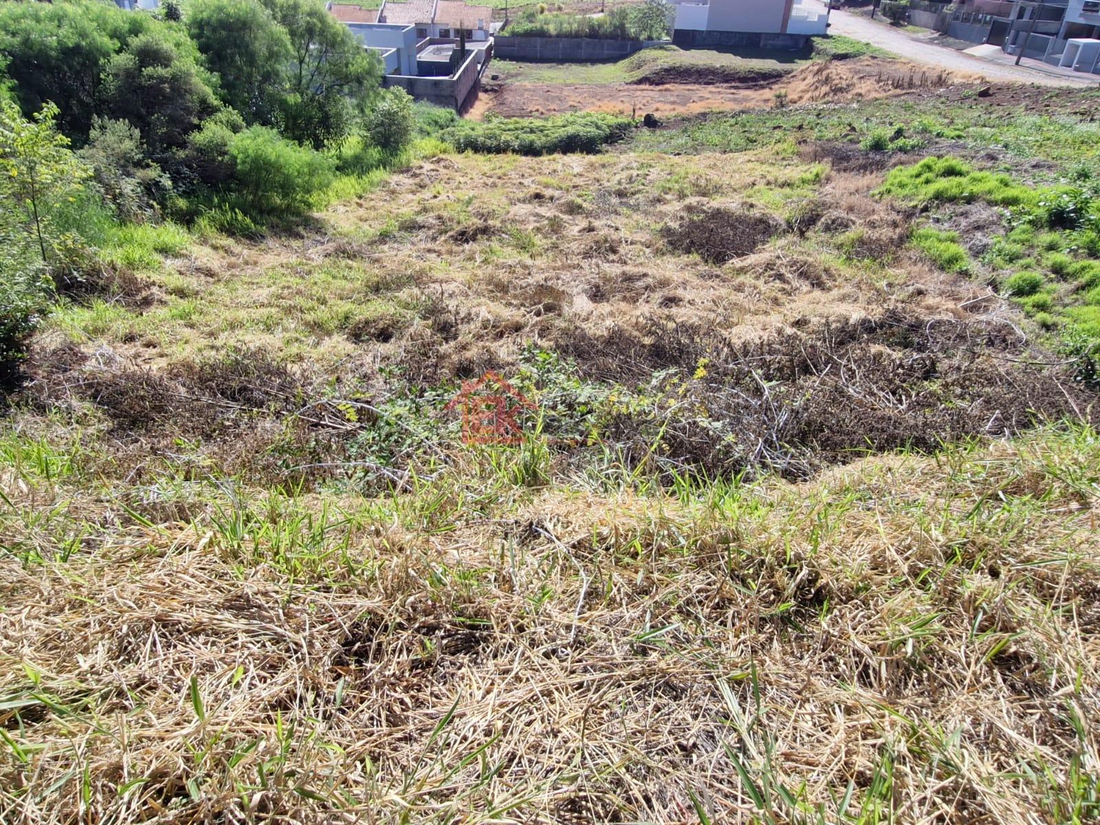 Elcio Klaus Negcios Imobilirios em So Loureno do Oeste SC