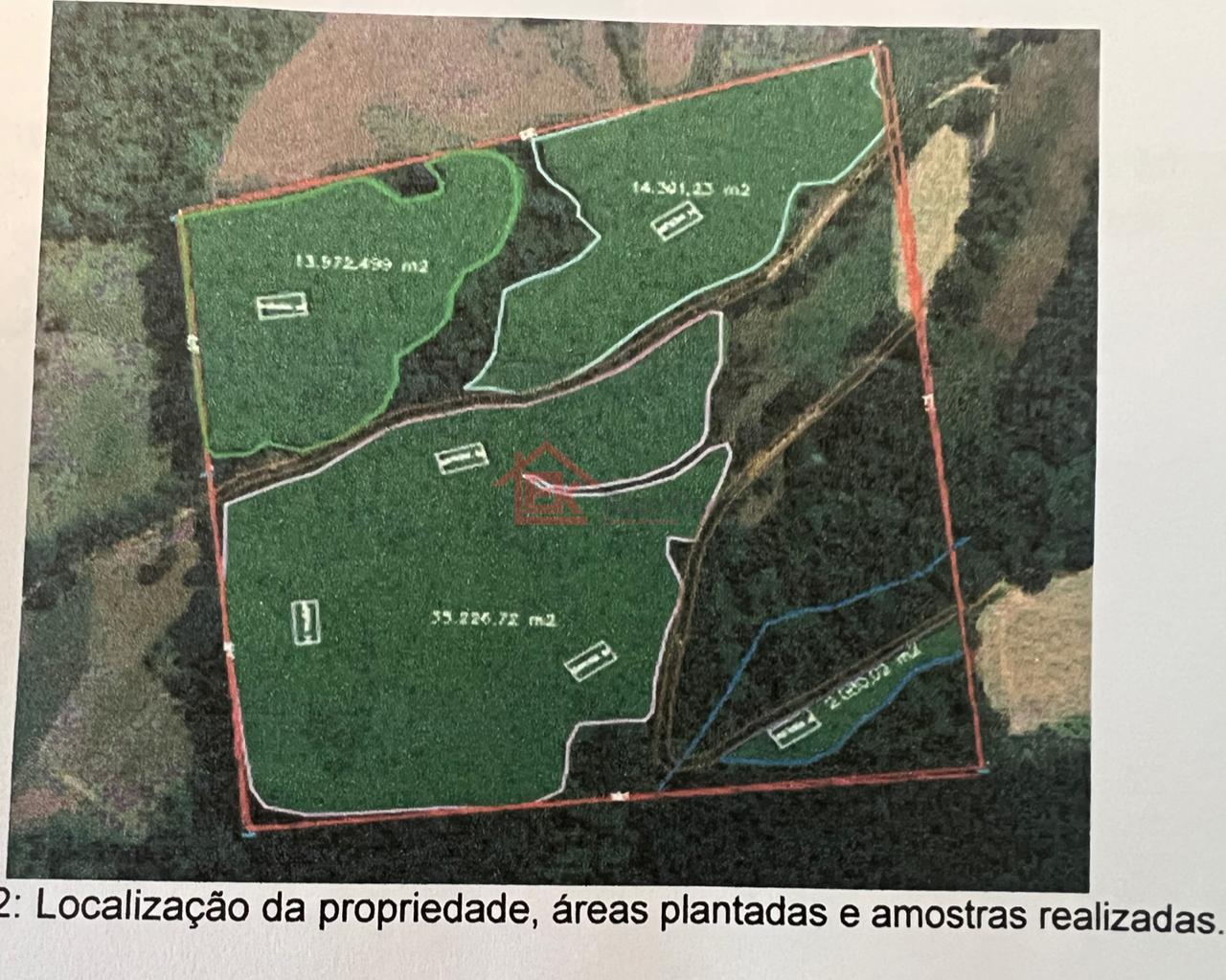 ÁREA RURAL COM PLANTIO DE EUCALIPTOS, NOVO HORIZONTE - SC, NÃO...