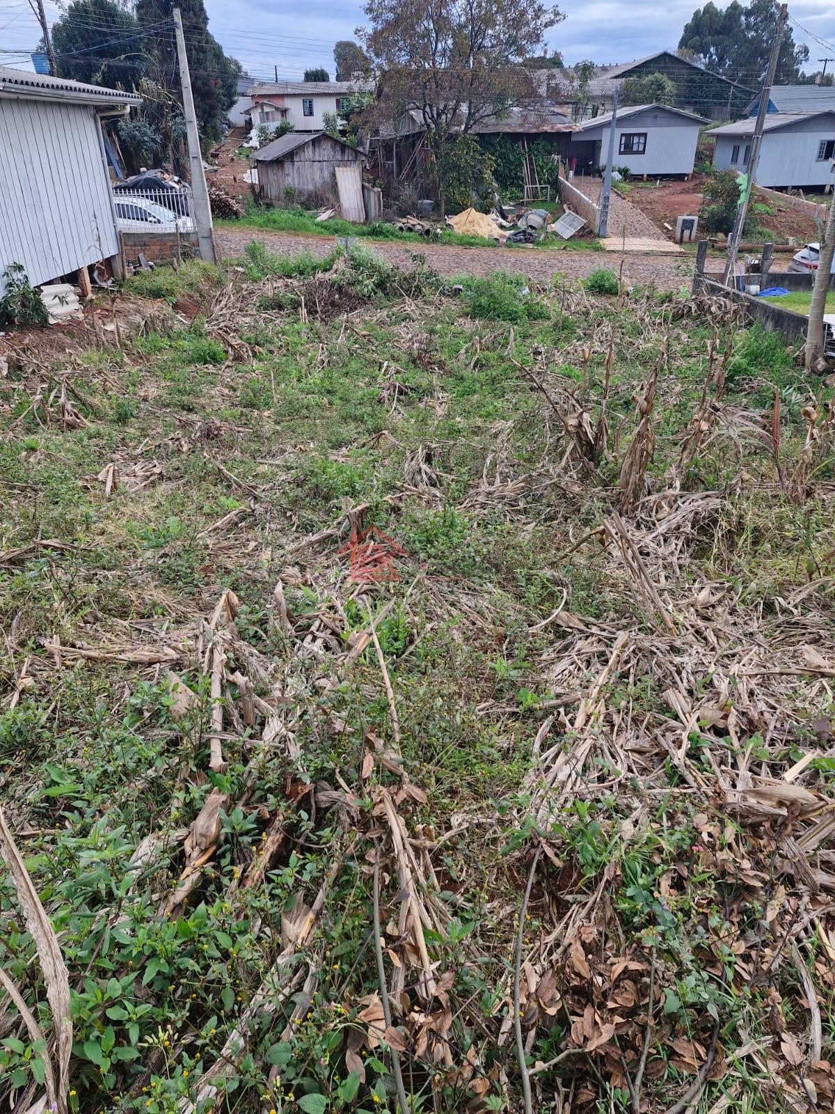 Elcio Klaus Negcios Imobilirios em So Loureno do Oeste SC
