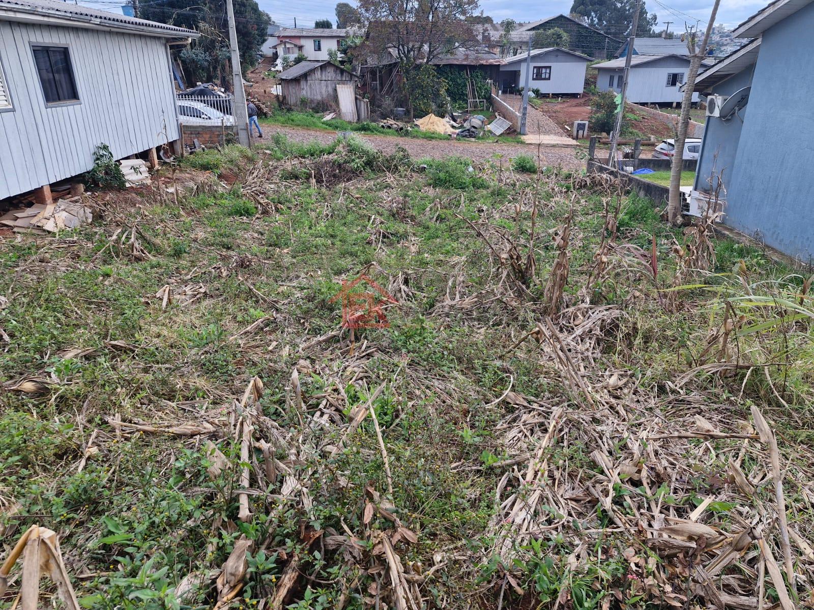 Elcio Klaus Negcios Imobilirios em So Loureno do Oeste SC