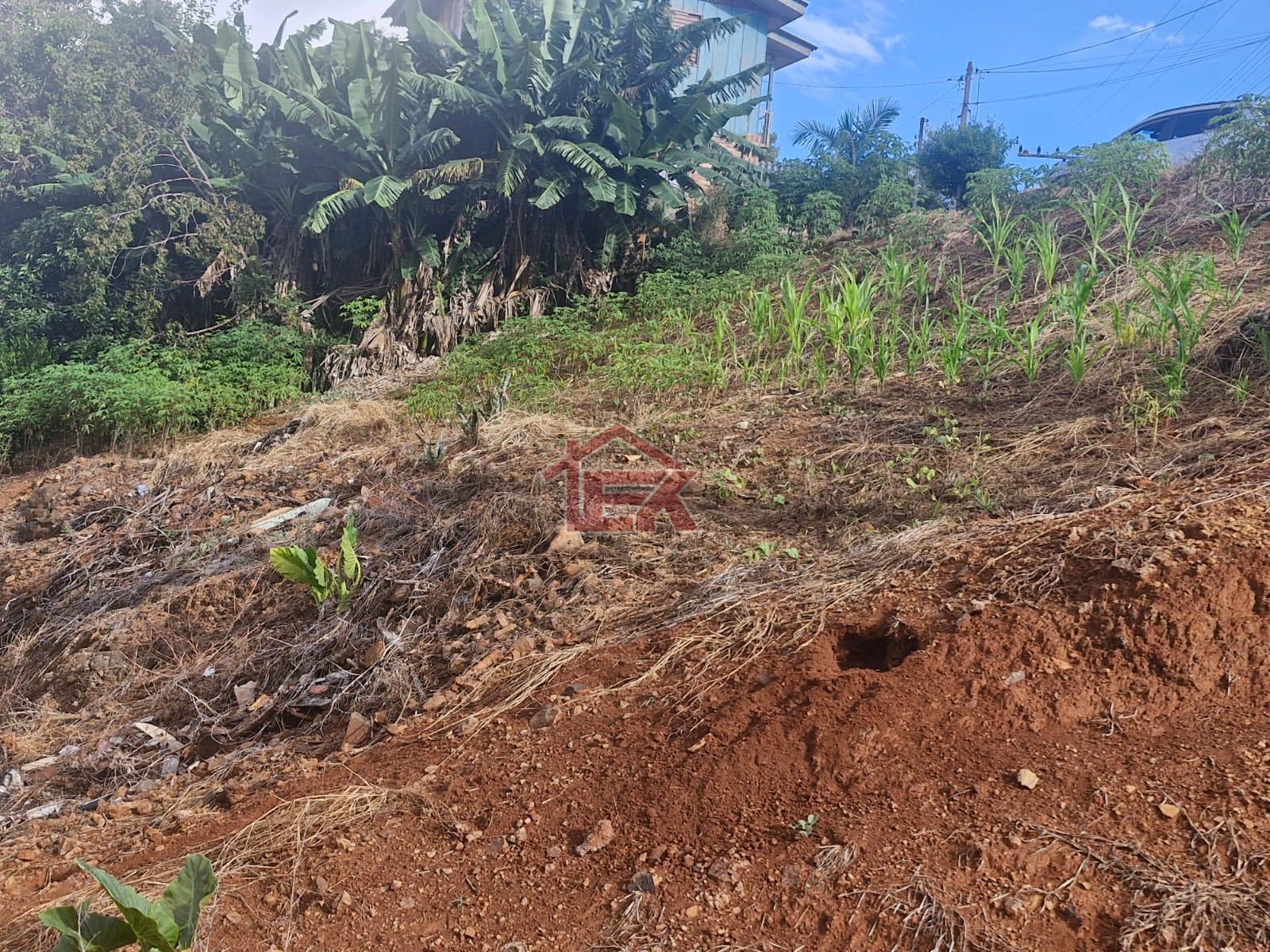 Lote à venda, OTIMO LOCAL, SAO LOURENCO DO OESTE - SC