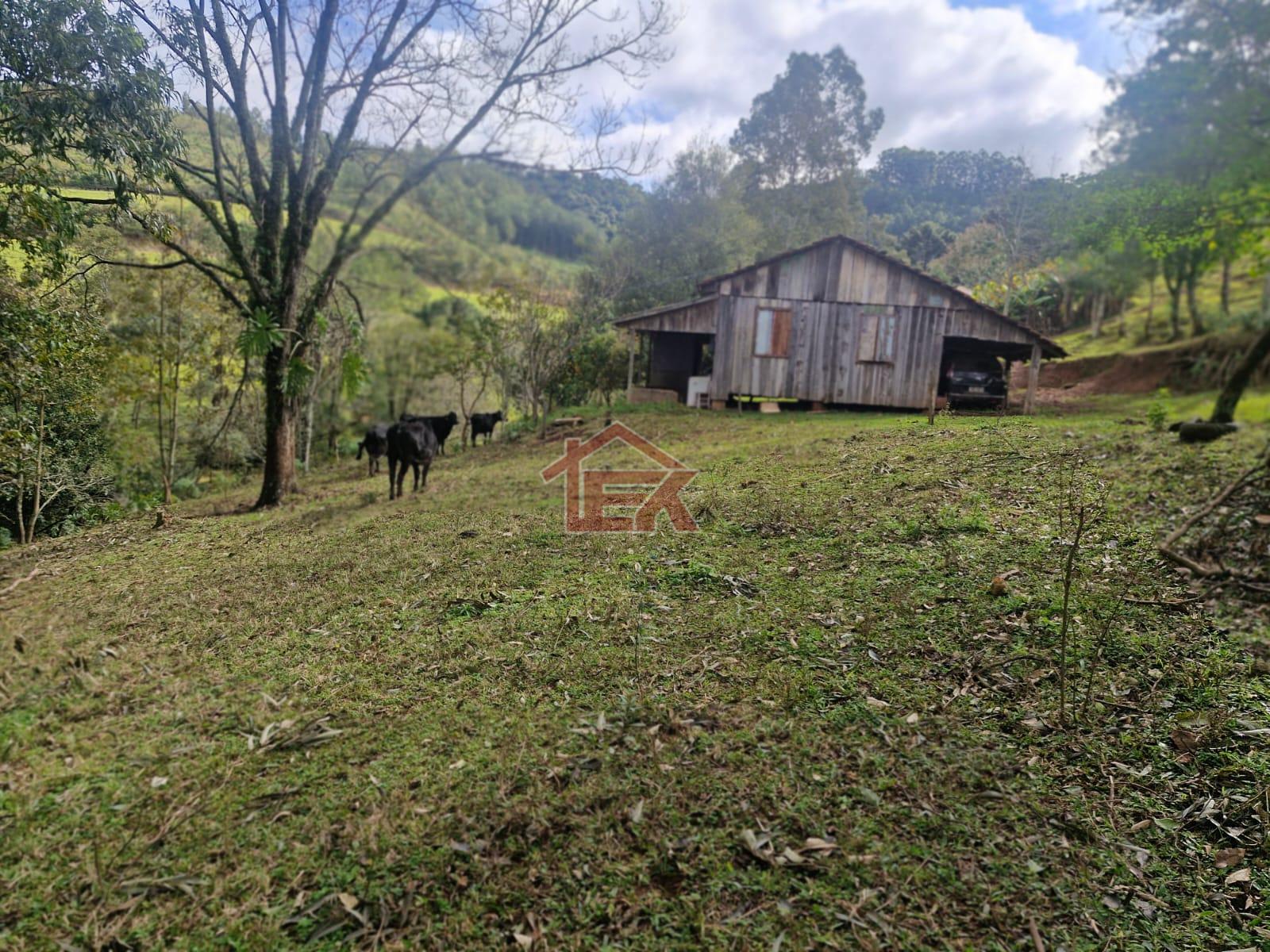 Lote, INTERIOR, SAO LOURENCO DO OESTE - SC