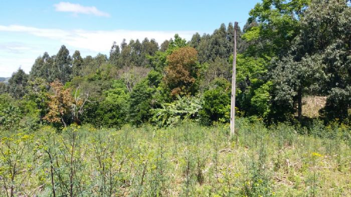 Chácara à venda, OTIMO LOCAL, SAO LOURENCO DO OESTE - SC