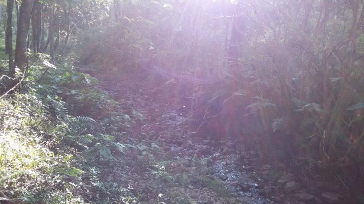 CHÁCARA BAIRRO INTERIOR