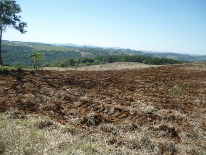 Área para Loteamento Residencial ou Industrial