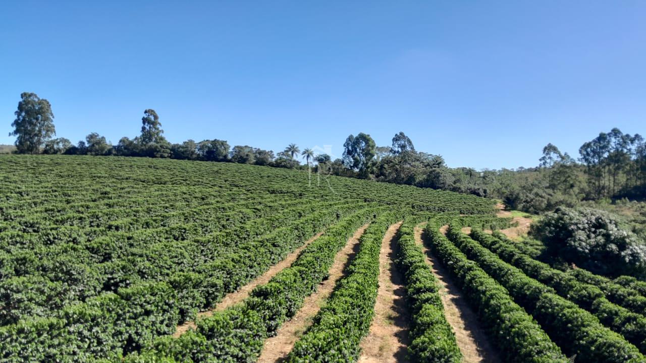 Sítio com café à venda, Rural, SAO SEBASTIAO DO PARAISO - MG