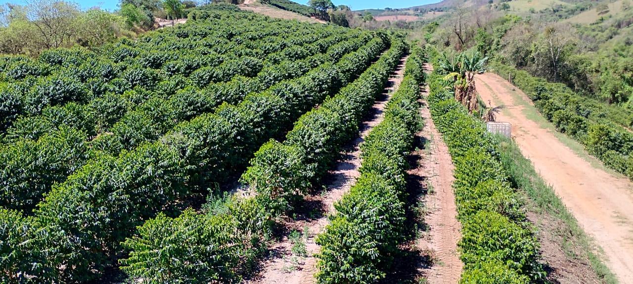 Sítio com café à venda, Rural, SAO SEBASTIAO DO PARAISO - MG