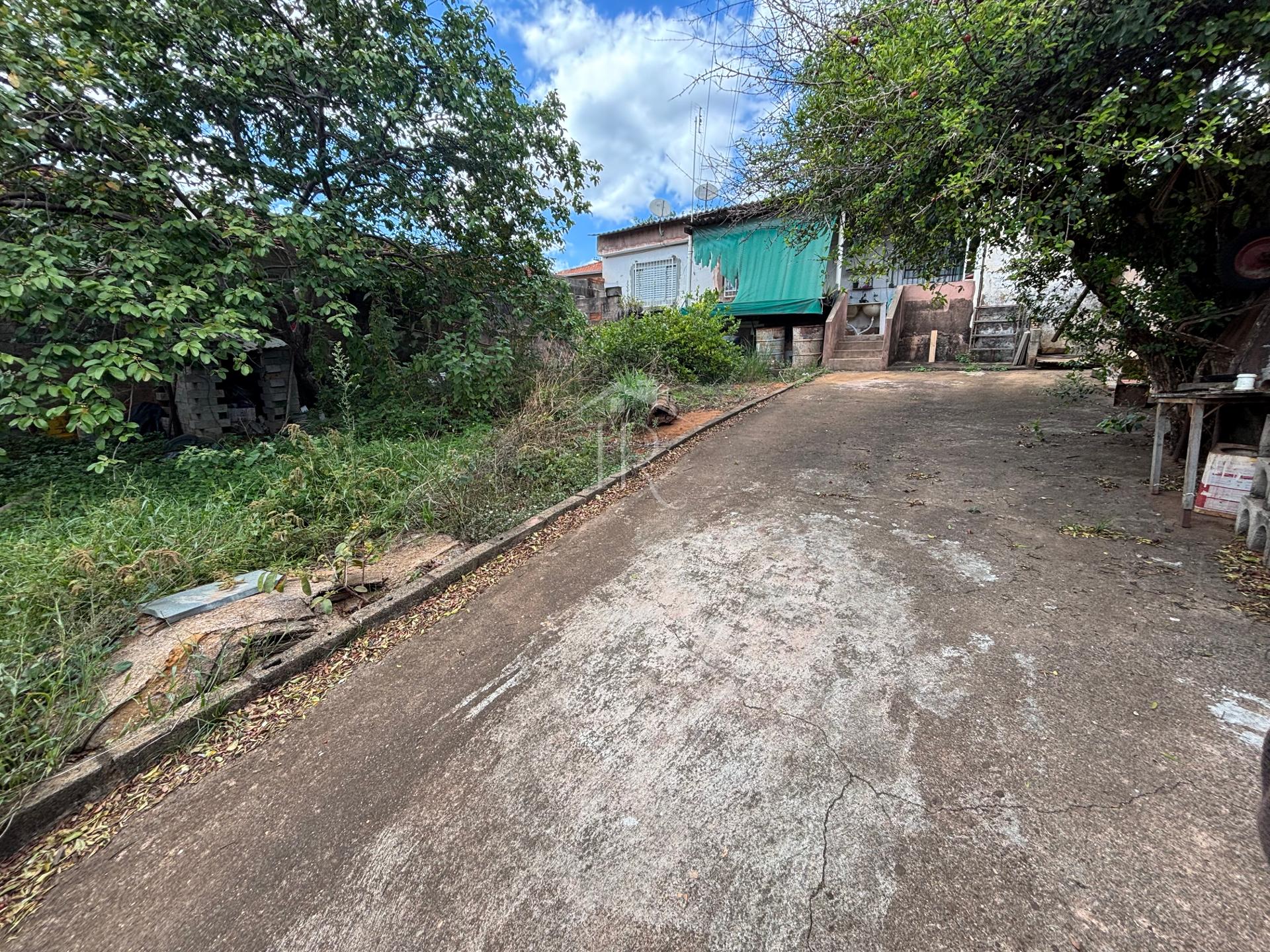 TERRENO COM CASA SIMPLES E ÁRVORES FRUTÍFERAS - SÃO SEBASTIÃO DO PARAÍSO - MG