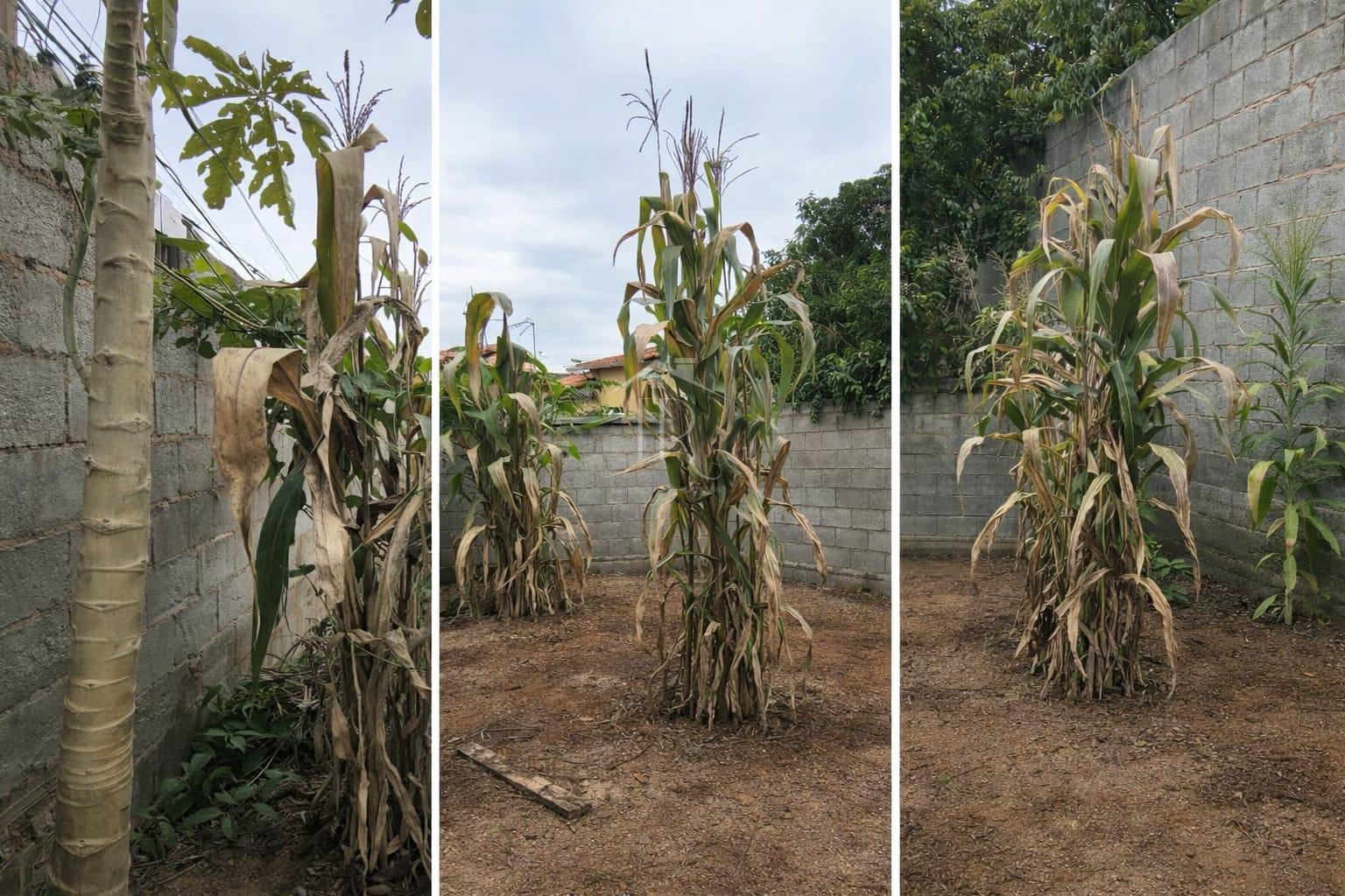 Excelente Terreno com 180m2, Plano, Murado, Ã  venda, SÃO SEBASTIÃO, SAO SEBASTIAO DO PARAISO - MG